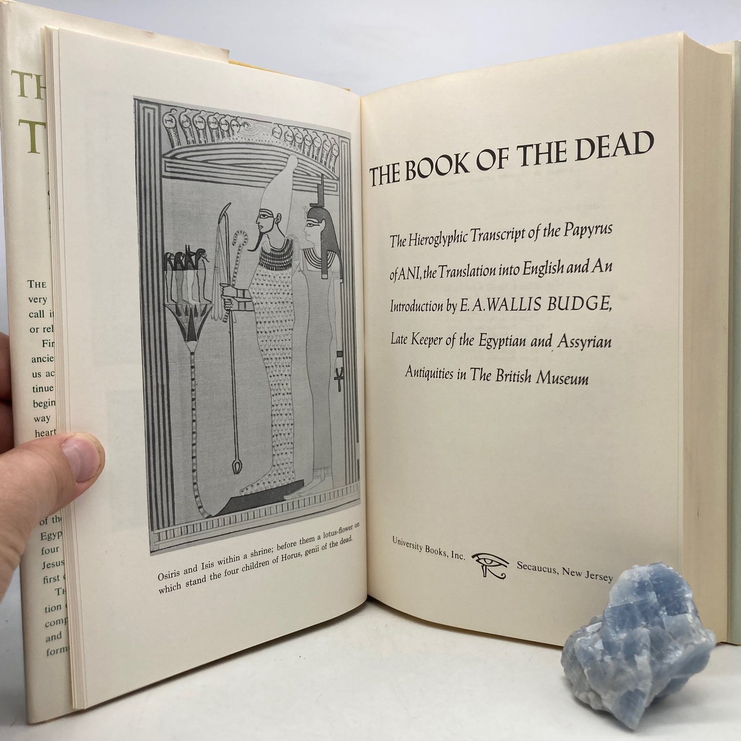 BUDGE, E.A. Wallis "The Book of the Dead" [University Books, 1977] - Buzz Bookstore