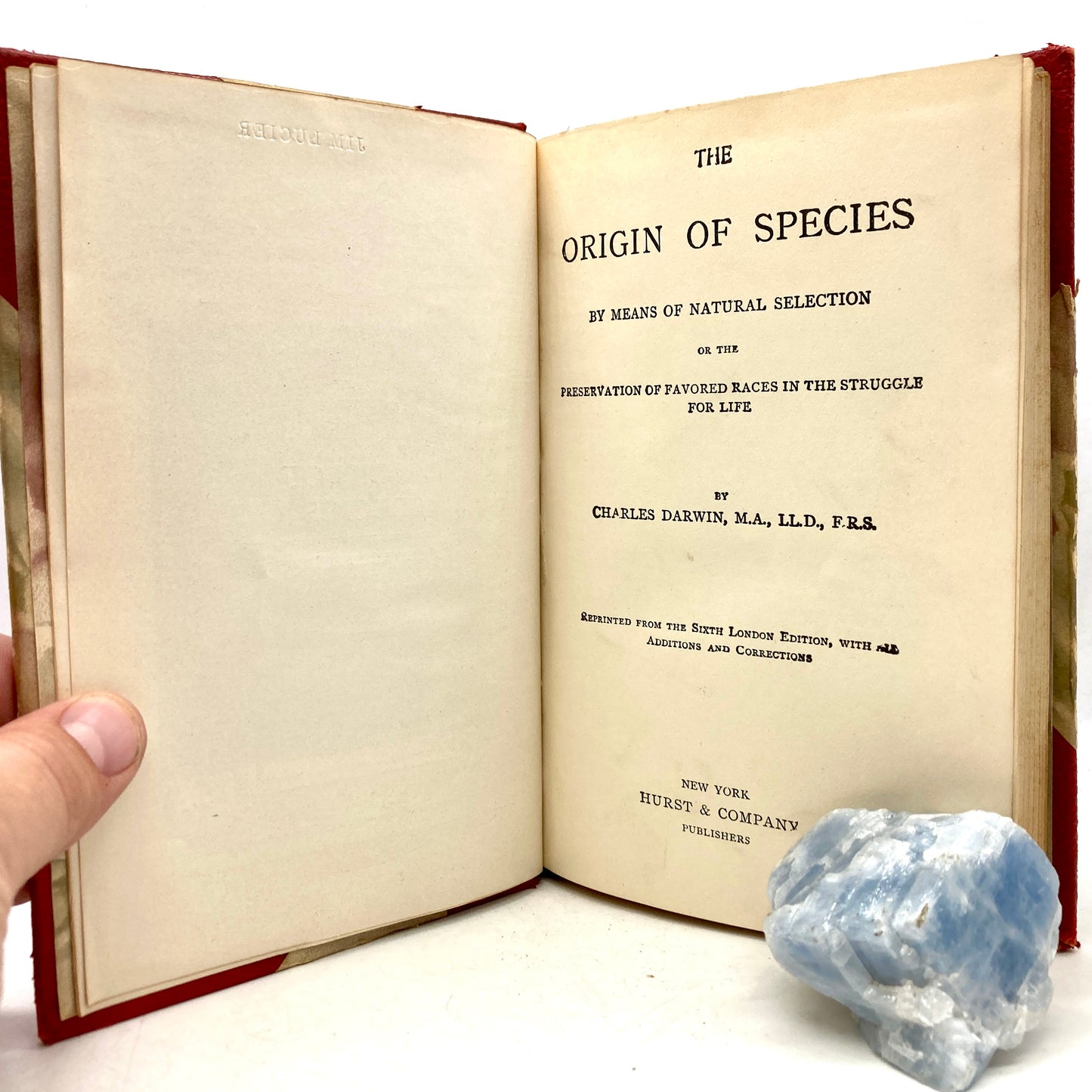 DARWIN, Charles "The Origin of Species" [Hurst & Co, n.d./c1880]