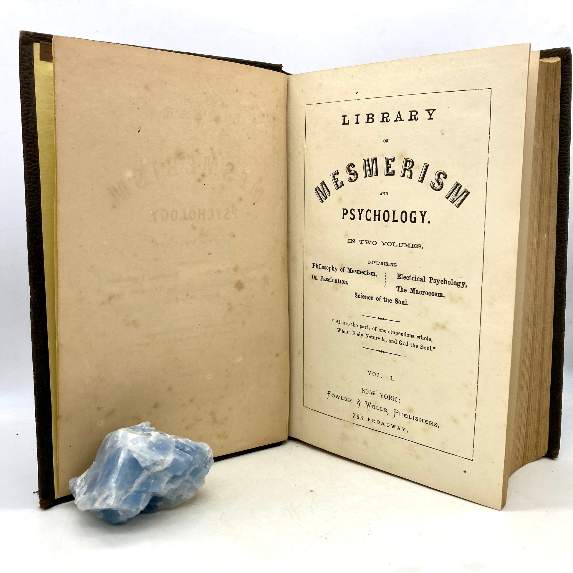 "Library of Mesmerism and Psychology" [Fowler & Wells, 1880] - Buzz Bookstore