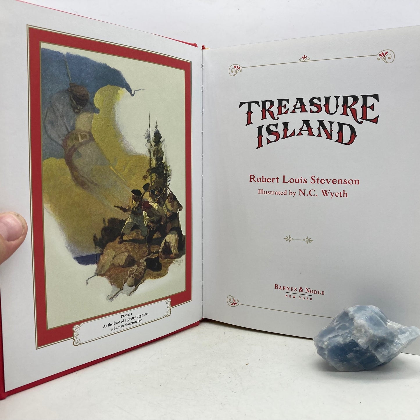 STEVENSON, Robert Louis "Treasure Island" [Barnes & Noble, 2016] - Buzz Bookstore