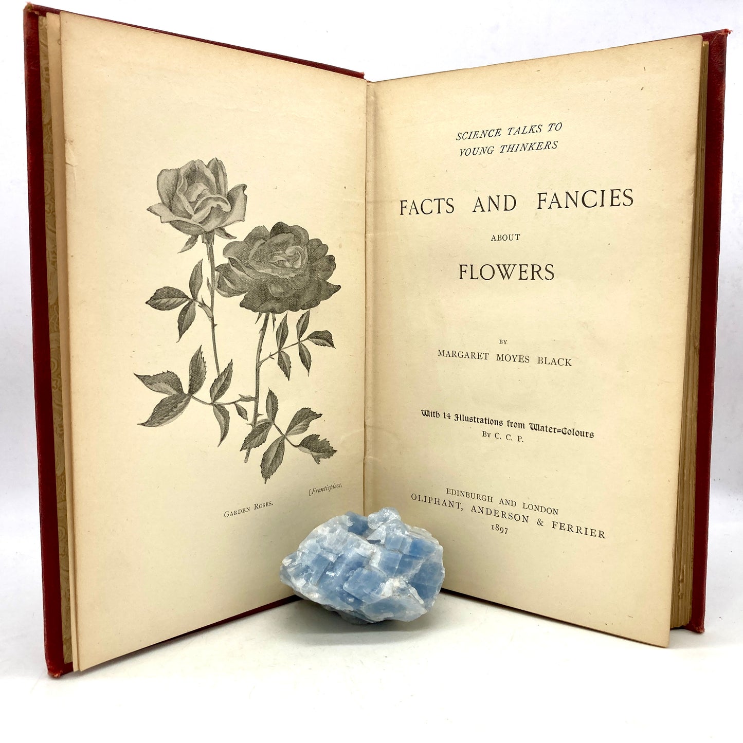 BLACK, M.M. "Facts & Fancies About Flowers" [Oliphant, Anderson & Ferrier, 1897]
