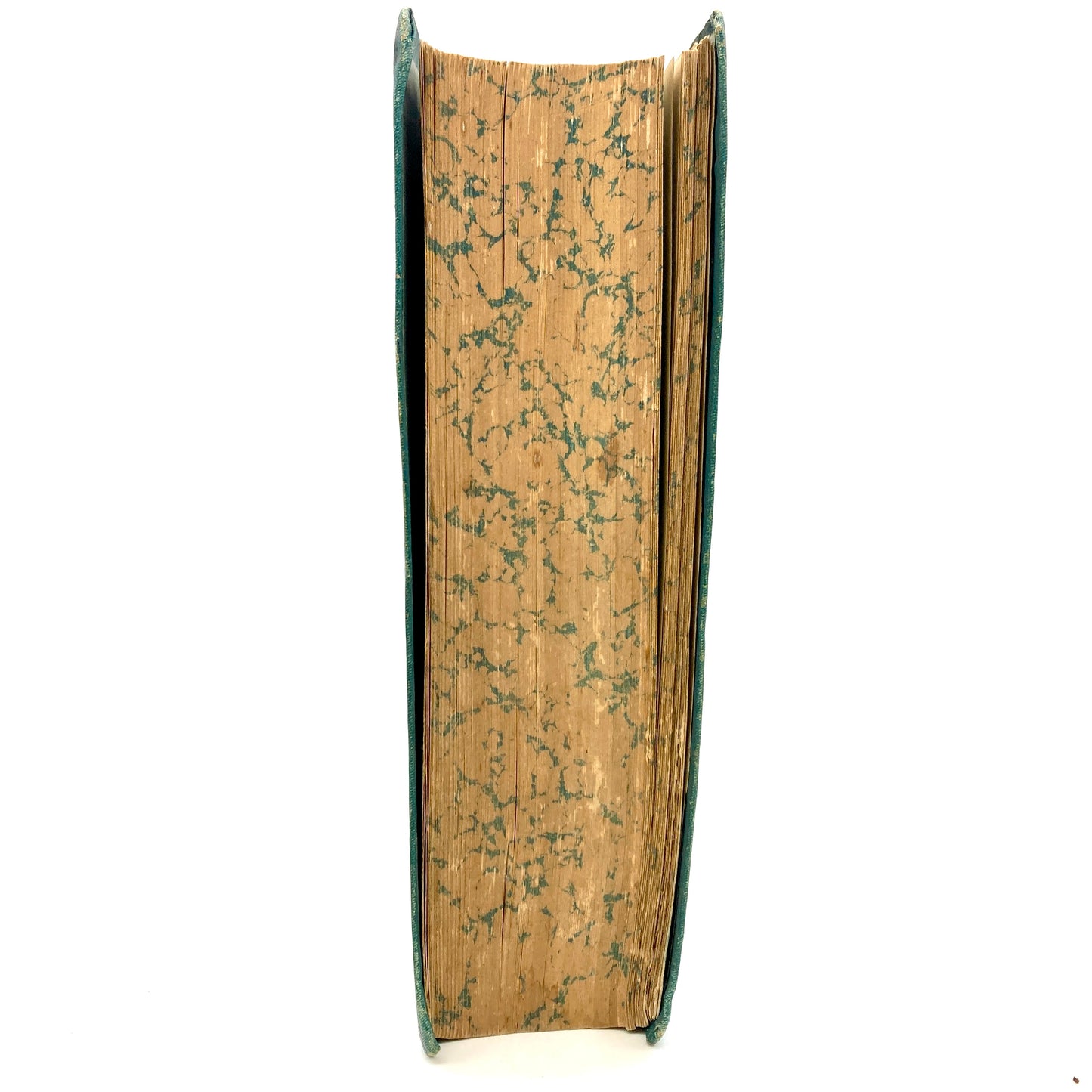 MOYEN, J. "Les Champignons, Traité Élémentaire de Mycologie" [J. Rothschild, n.d./c1888]