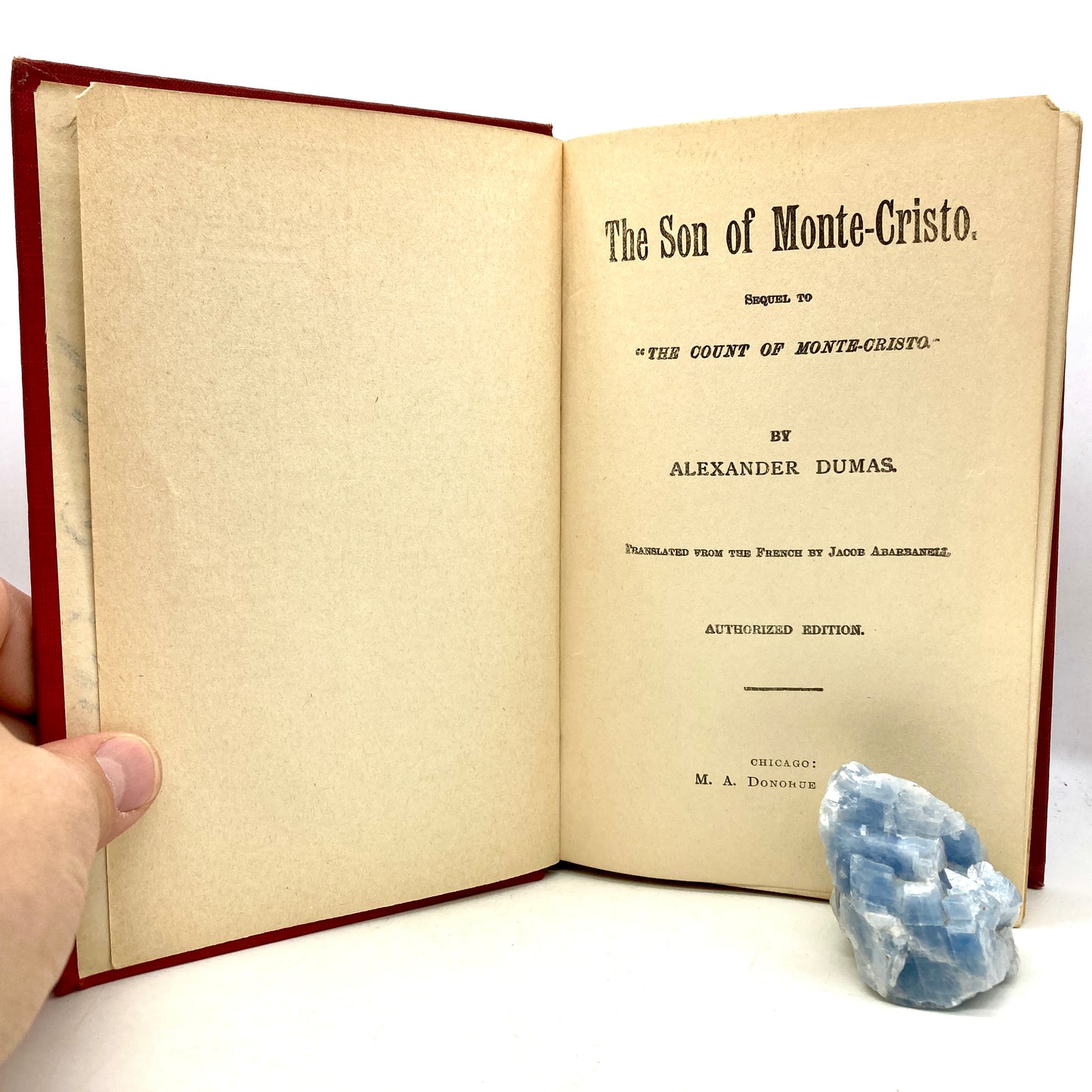 DUMAS, Alexandre "The Son of Monte Cristo" [M.A. Donohue & Co, c1910] - Buzz Bookstore
