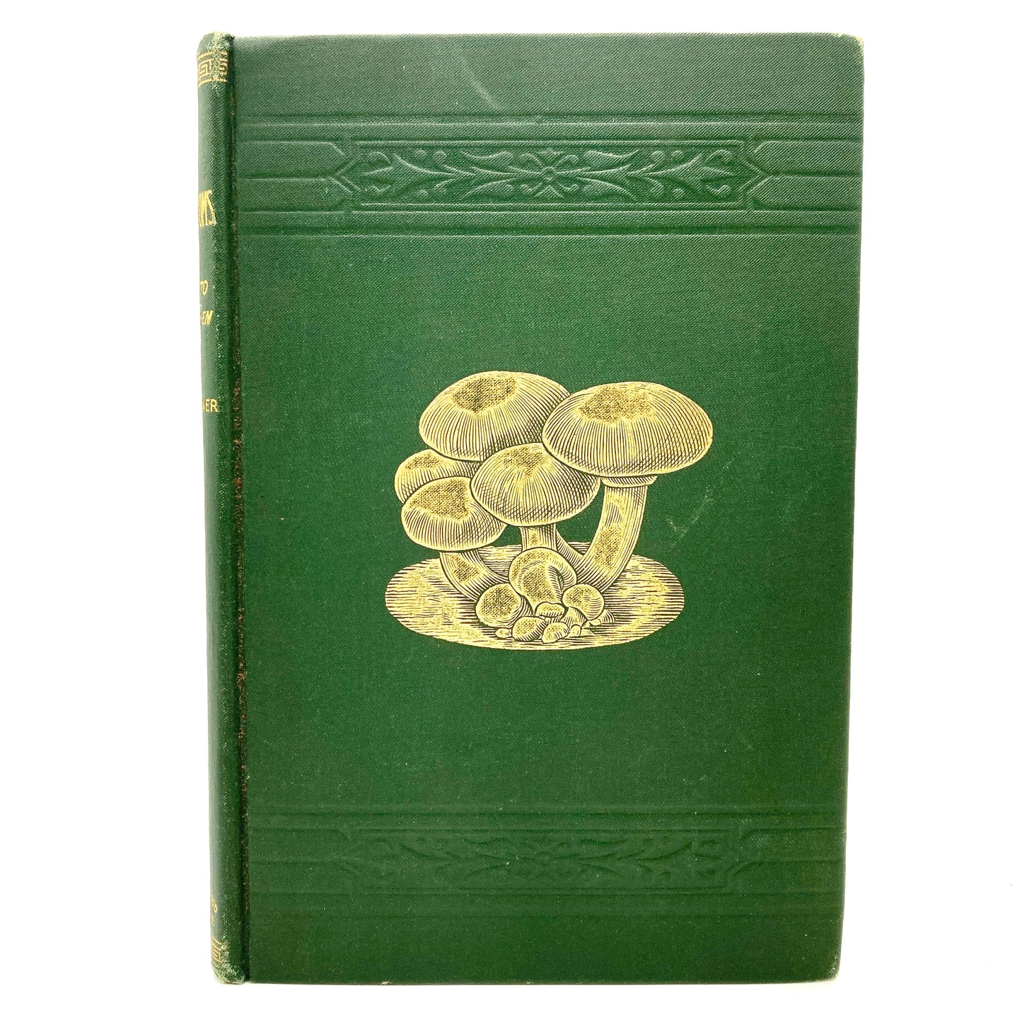 FALCONER, William “Mushrooms, How to Grow Them, a Treatise" [Orange Judd, 1905]