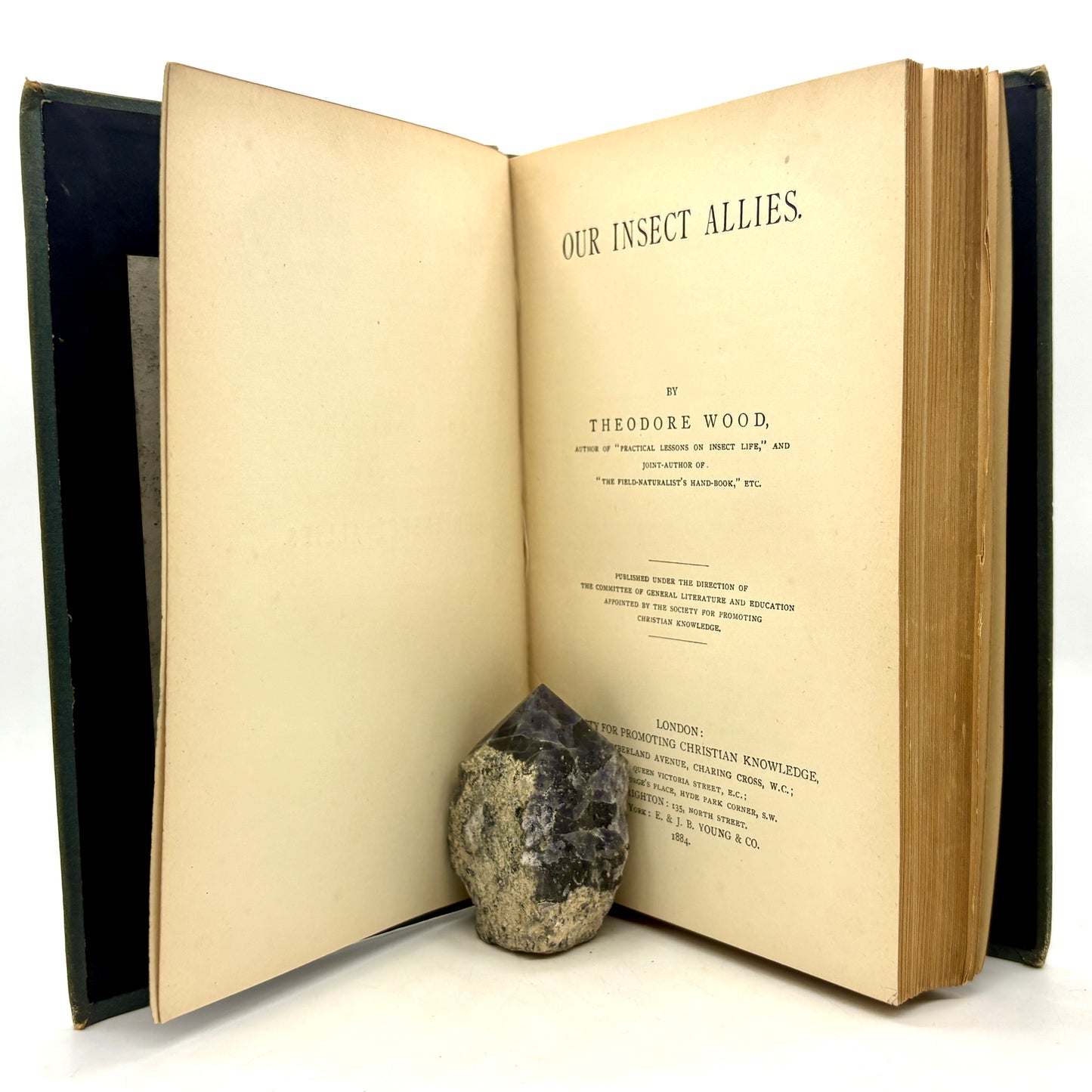 WOOD, Theodore “Our Insect Allies" & "Our Insect Enemies” [1884–1885]