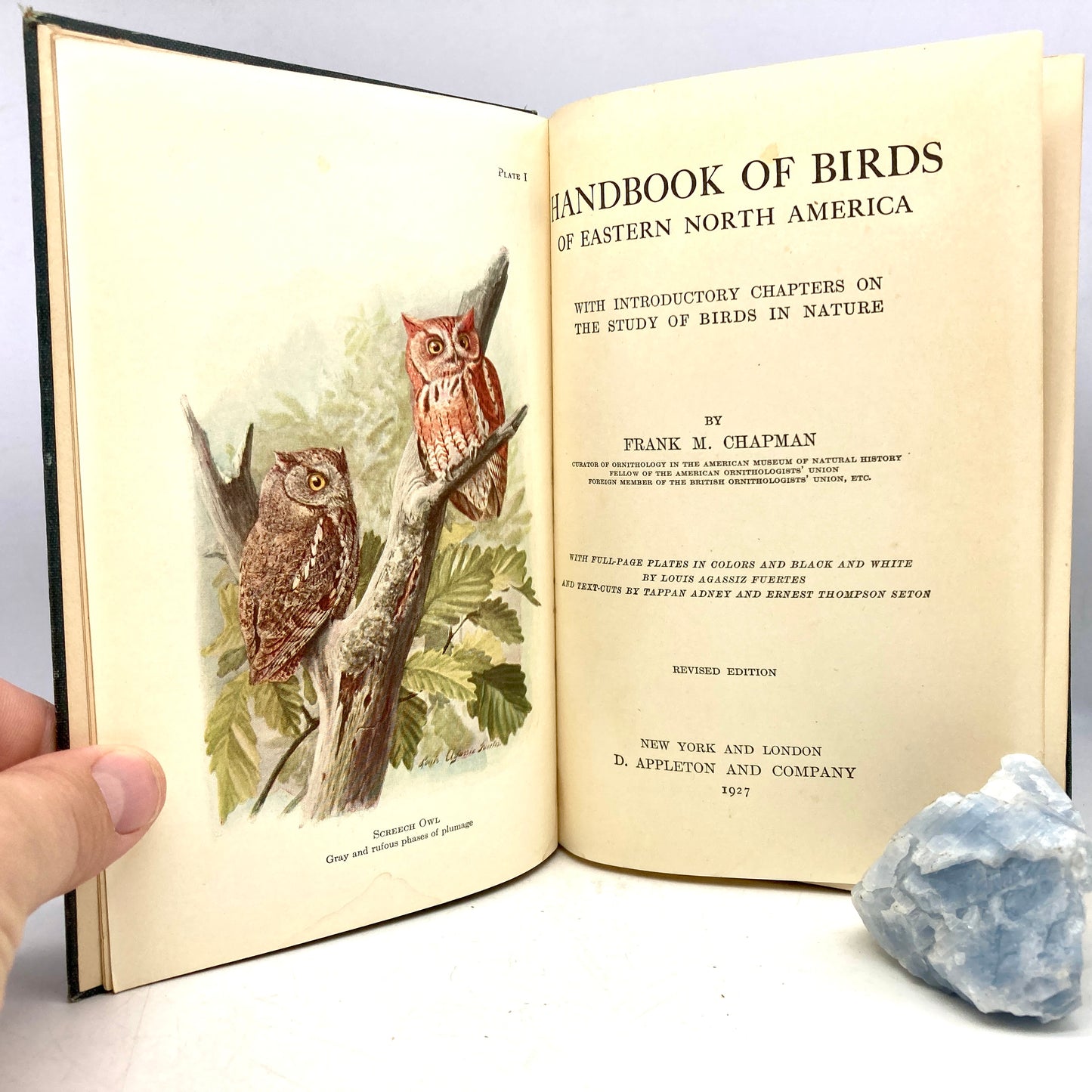 CHAPMAN, Frank M. "Birds of Eastern North America" [D. Appleton & Co, 1927]