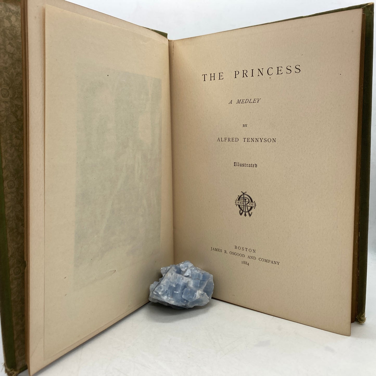 TENNYSON, Alfred Lord "The Princess" [James R. Osgood, 1884] Illustrated