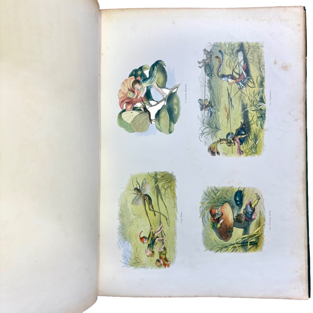 Doyle, Richard "Fairyland: A Series of Pictures from the Elf-World" [1875]