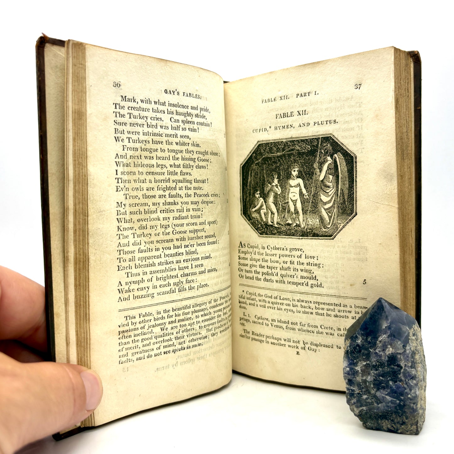 GAY, John "Fables" [Vernor, Hood, and Sharpe, 1810] Illustrated
