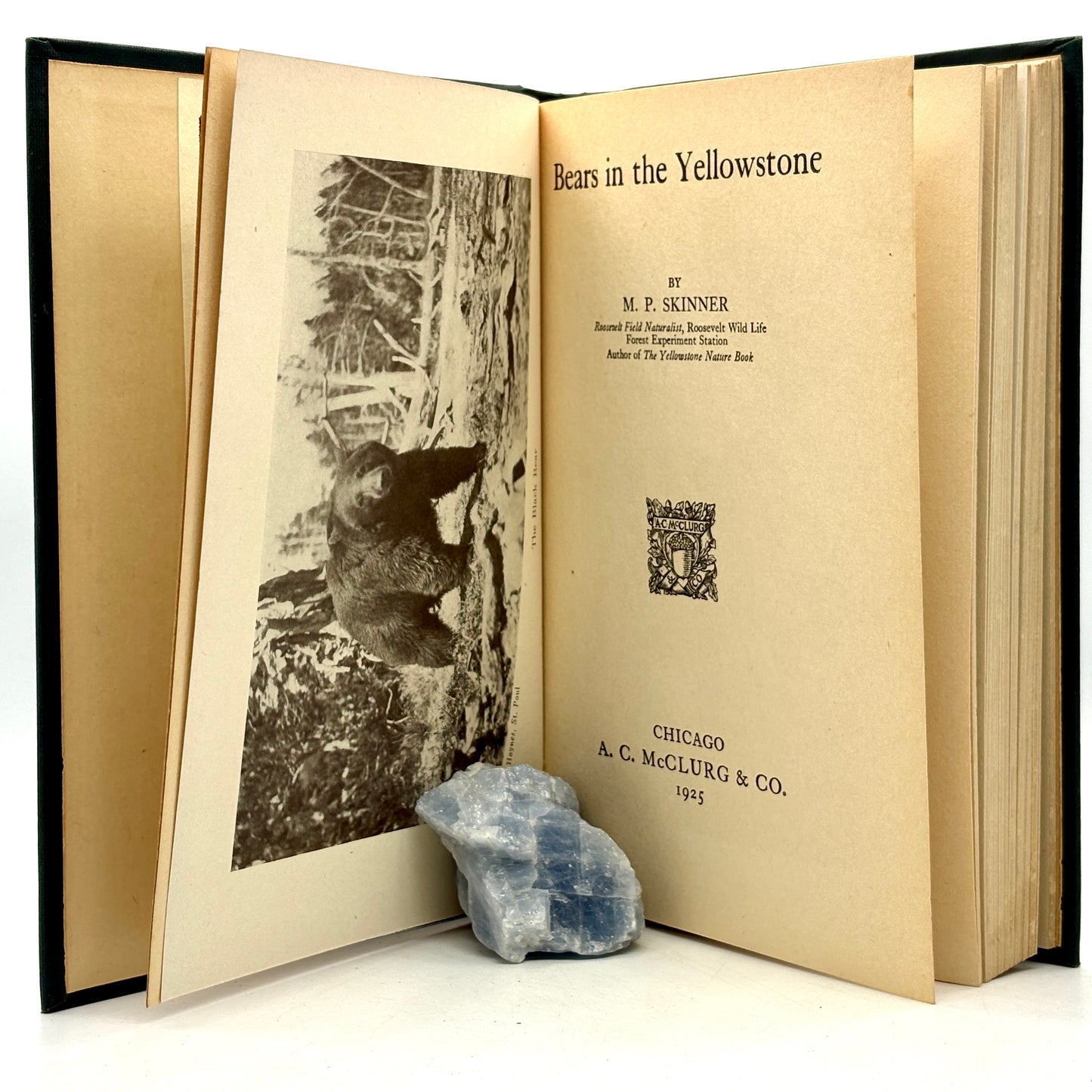 SKINNER, M. P. “Bears in the Yellowstone” [A. C. McClurg & Co., 1925] Signed