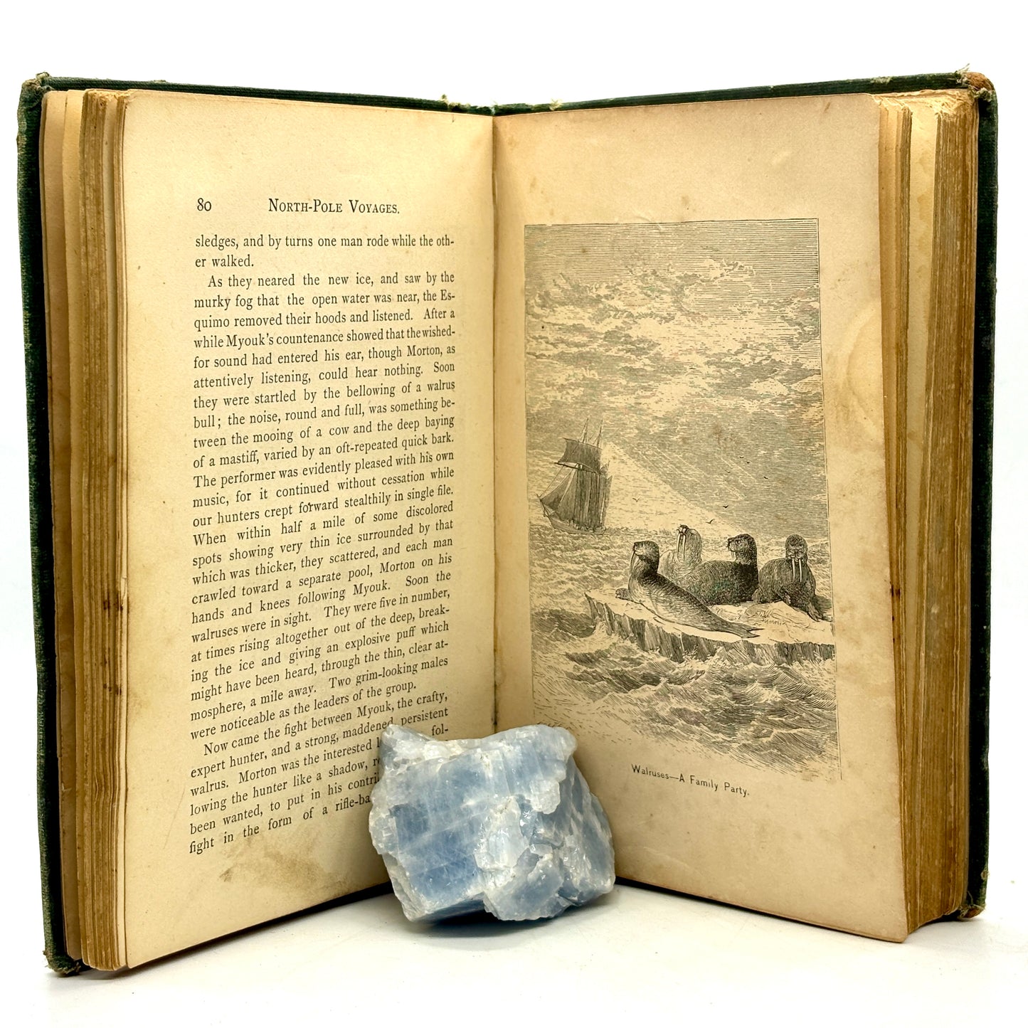 MUDGE, Rev. Z. A. “North-Pole Voyages” [Nelson & Phillips, 1875]