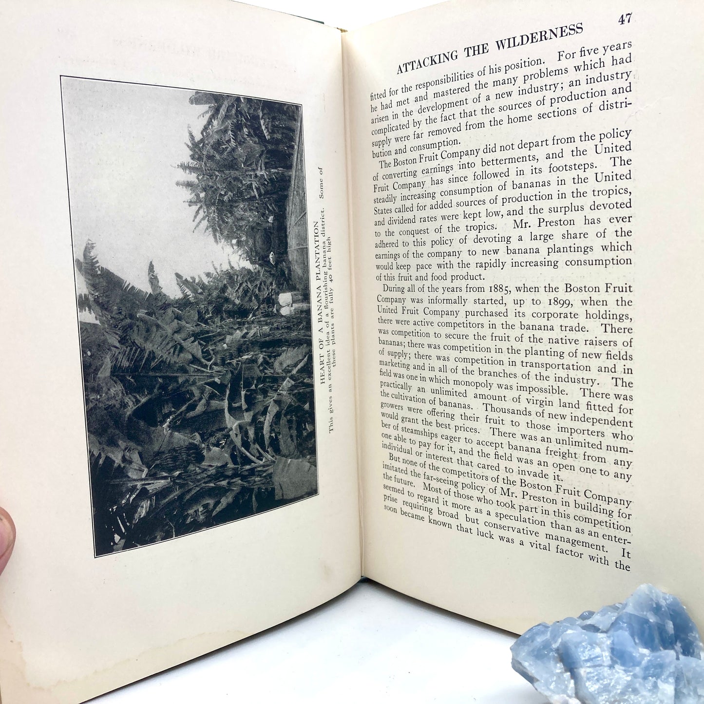 ADAMS, Frederick Upham "Conquest of the Tropics" [Doubleday, Page & Co, 1914]