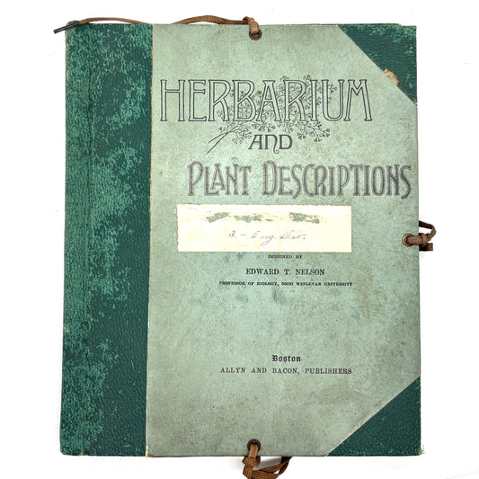 [Massachusetts] Anonymous "Herbarium and Plant Descriptions" [Allyn and Bacon, c1895]