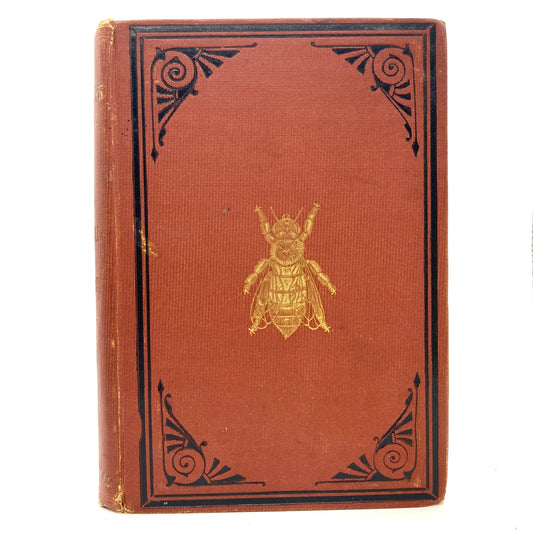 COOK, A.J. "The Bee-Keepers Guide" [Thomas G. Newman, 1881]