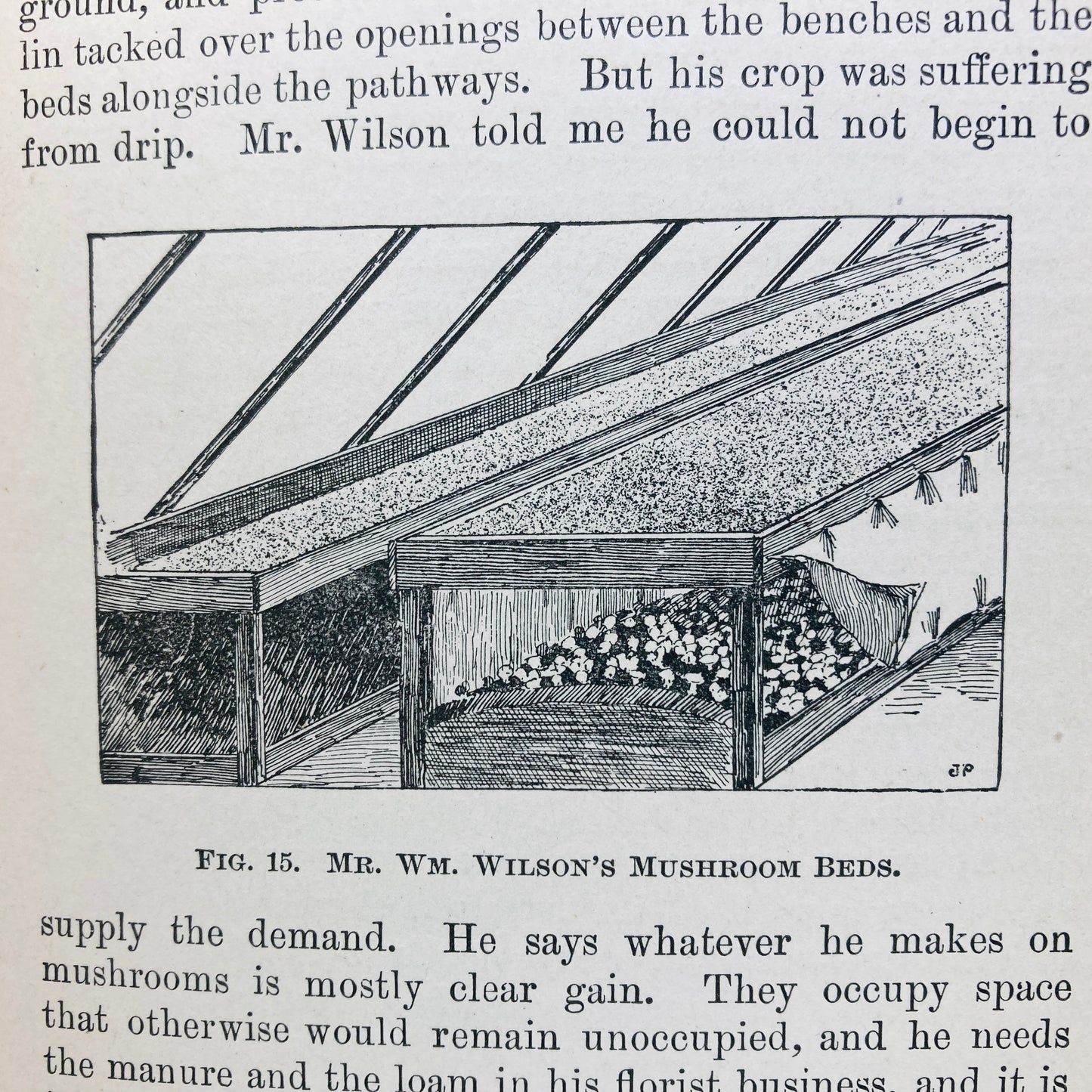 FALCONER, William “Mushrooms, How to Grow Them, a Treatise" [Orange Judd, 1905]