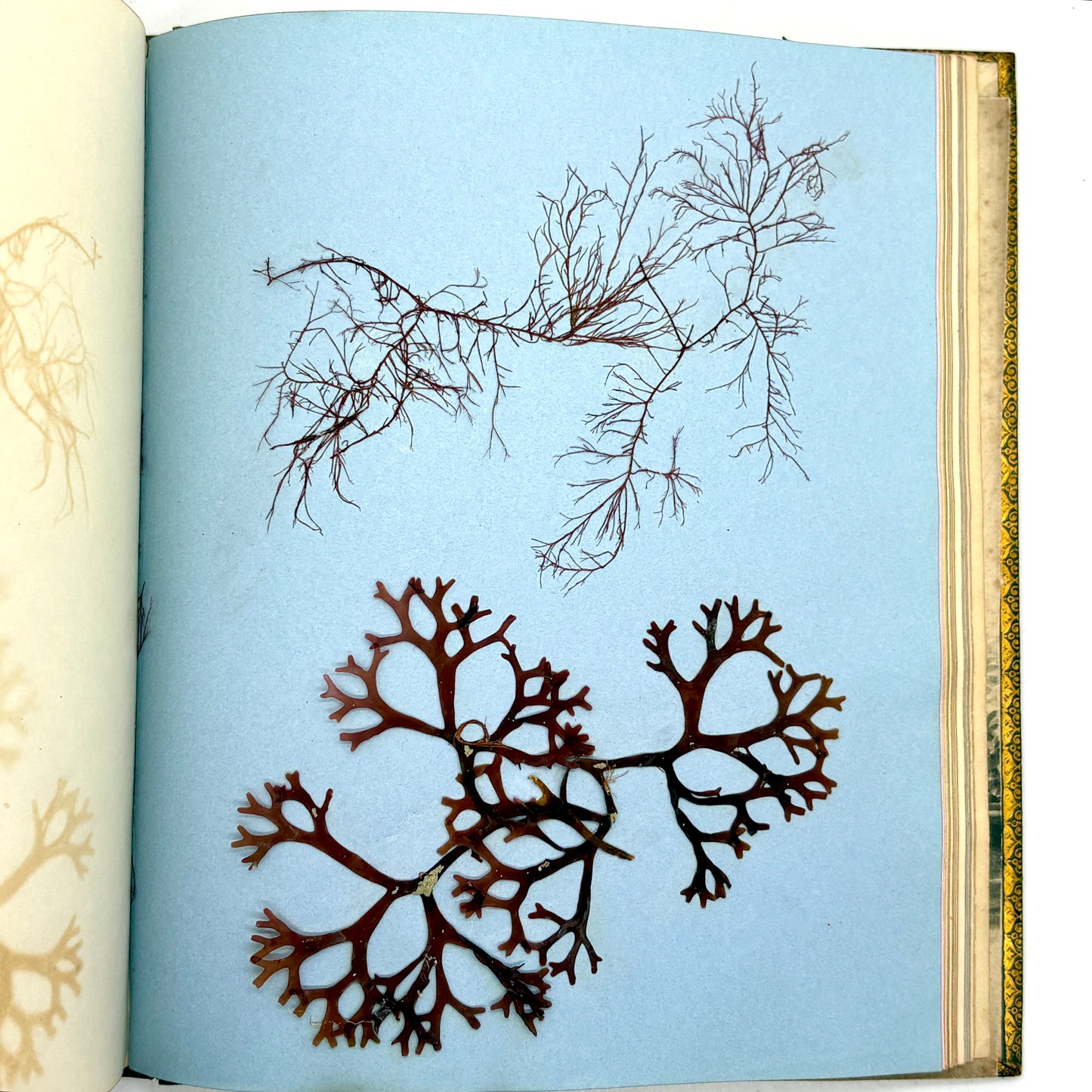FOSTER, Helen "Commonplace Book and Manuscript Album" [1839]