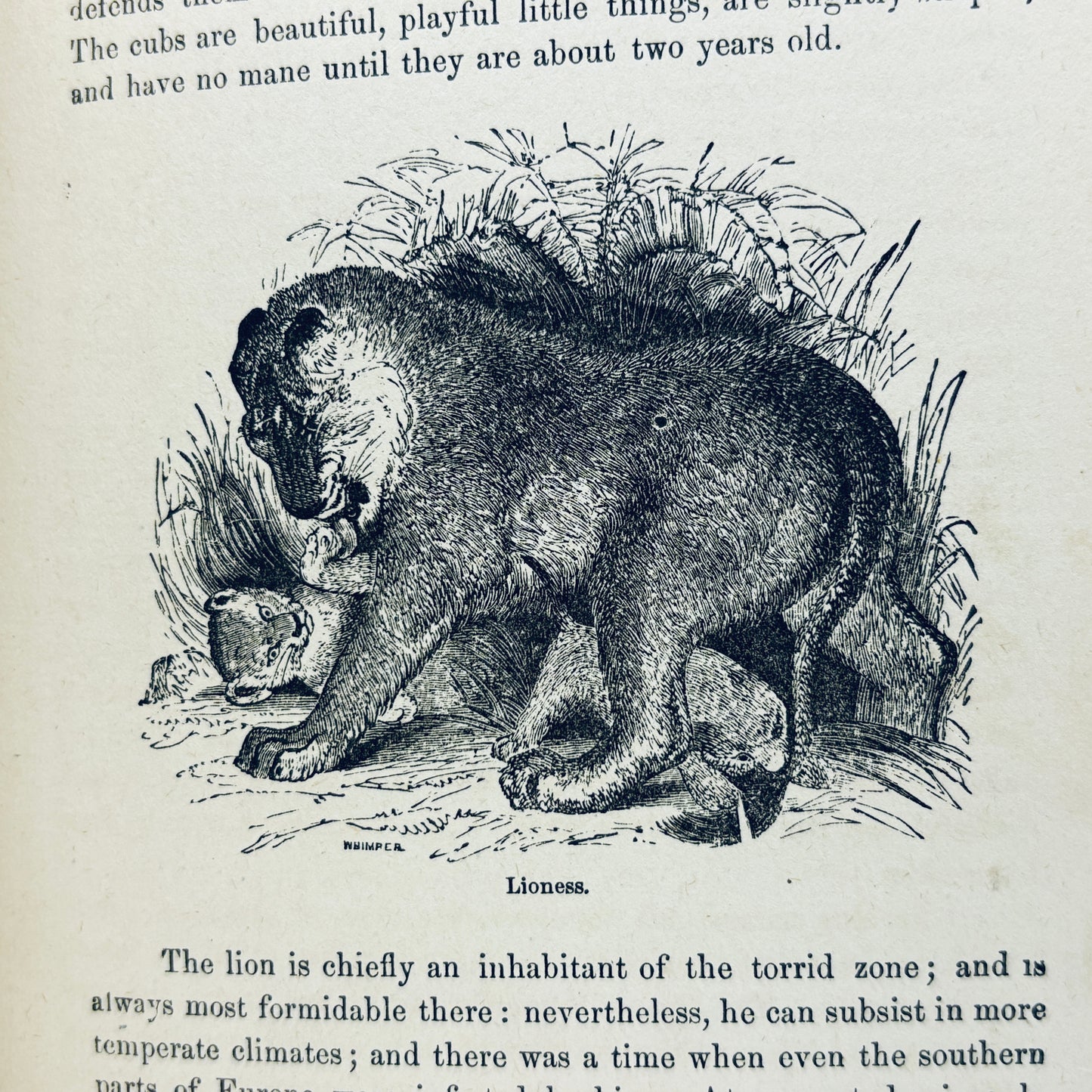 WOOD, Rev. J.G. "Illustrated Natural History" [Crawford & Co, 1883]
