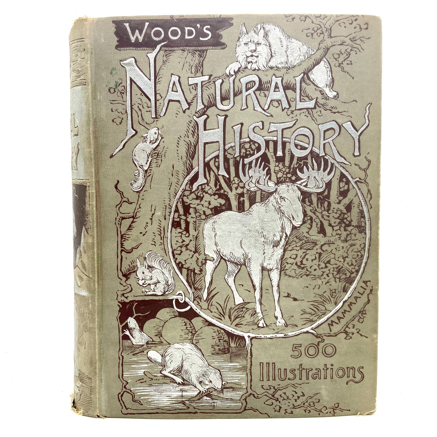 WOOD, J.G. "The Illustrated Natural History: Mammalia" [Home Book Company, n.d./c1880s]