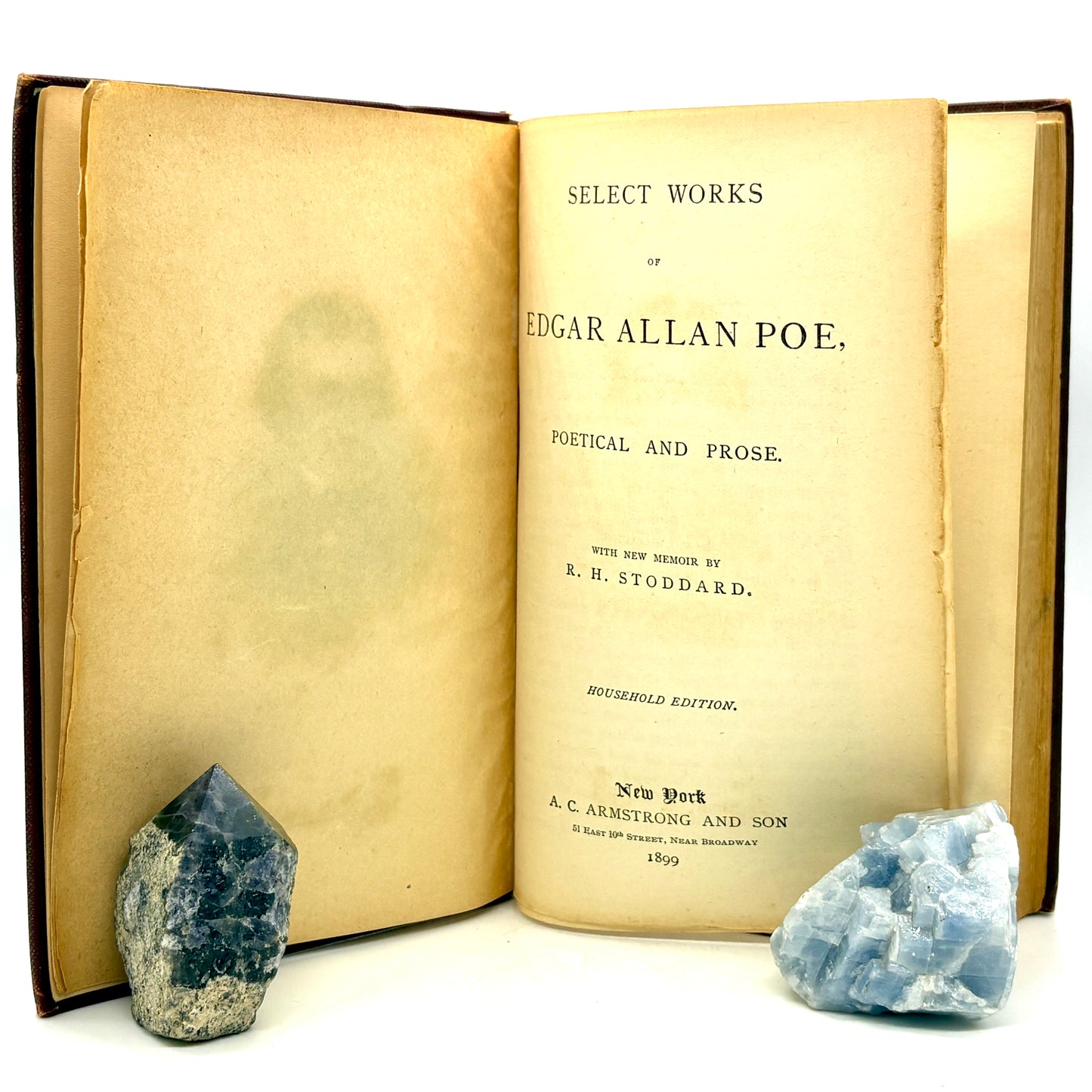 POE, Edgar Allan “Select Works” [A. C. Armstrong & Son, 1899] Raven
