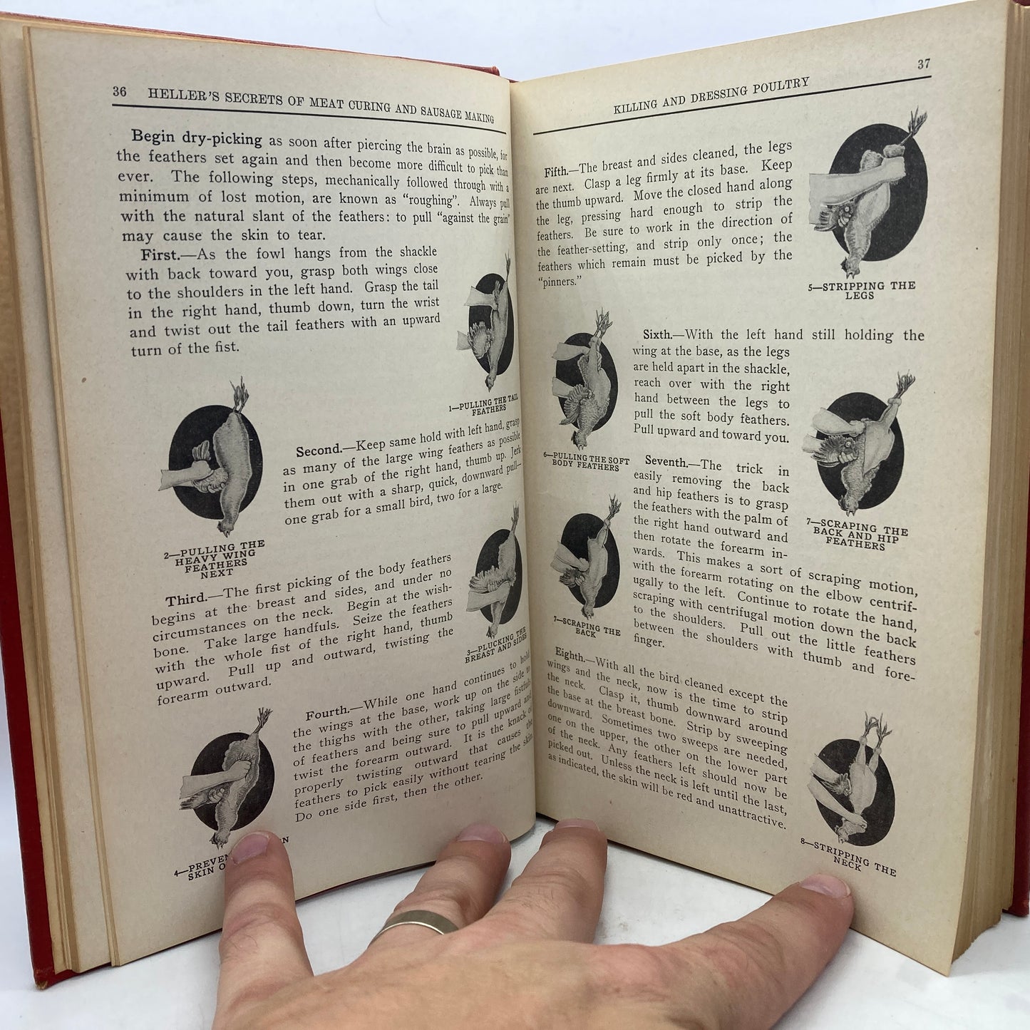 "Heller's Secrets of Meat Curing and Sausage Making" [B. Heller & Co, 1929]