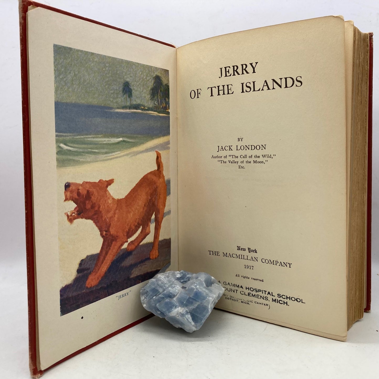 LONDON, Jack "Jerry of the Islands" [Macmillan, 1917] 1st Edition - Buzz Bookstore