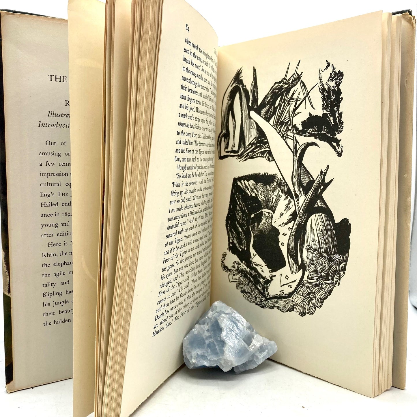 KIPLING, Rudyard "The Jungle Books" [Doubleday, 1948] - Buzz Bookstore