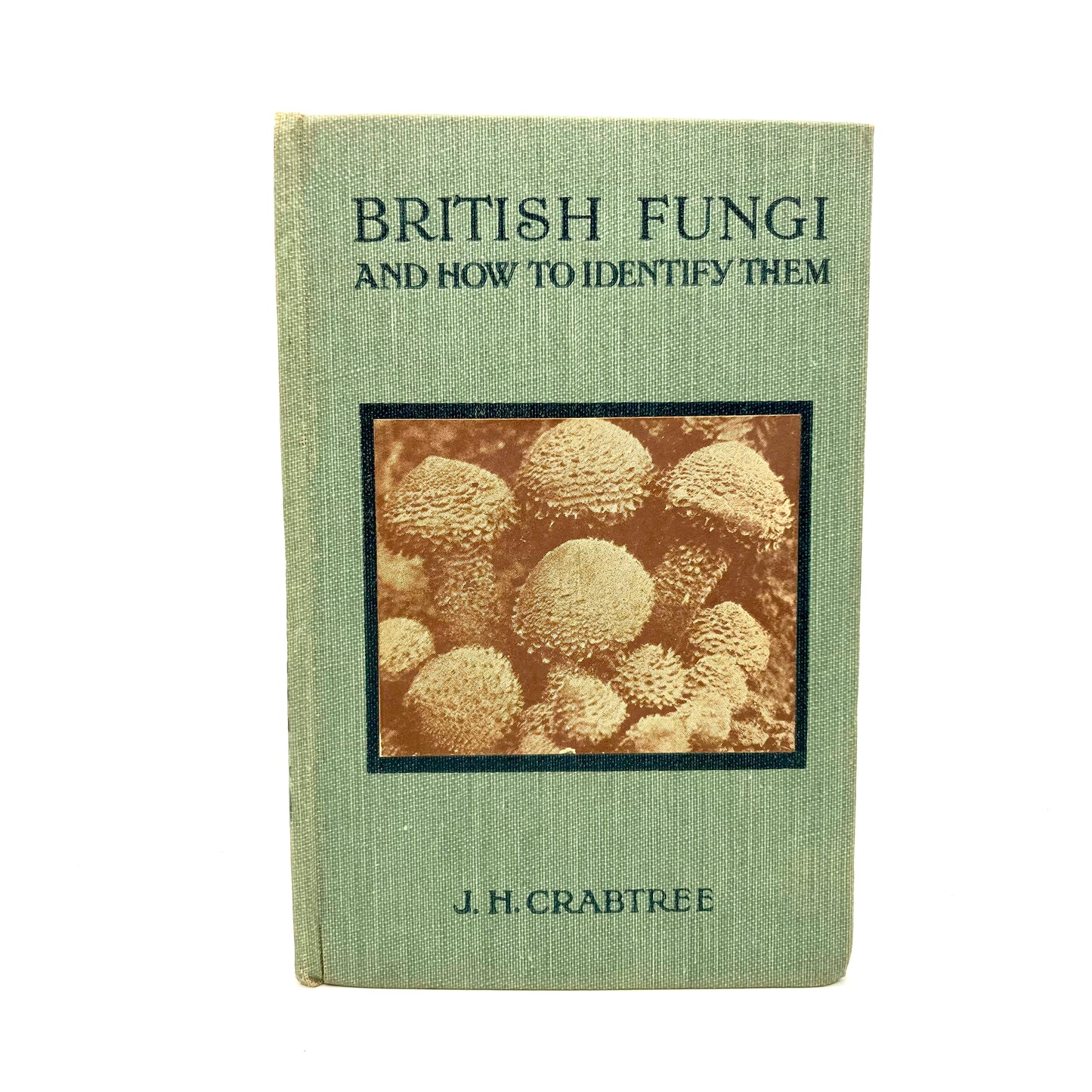 CRABTREE, J.H. "British Fungi and How to Identify Them" [The Epworth Press, c1916] - Buzz Bookstore