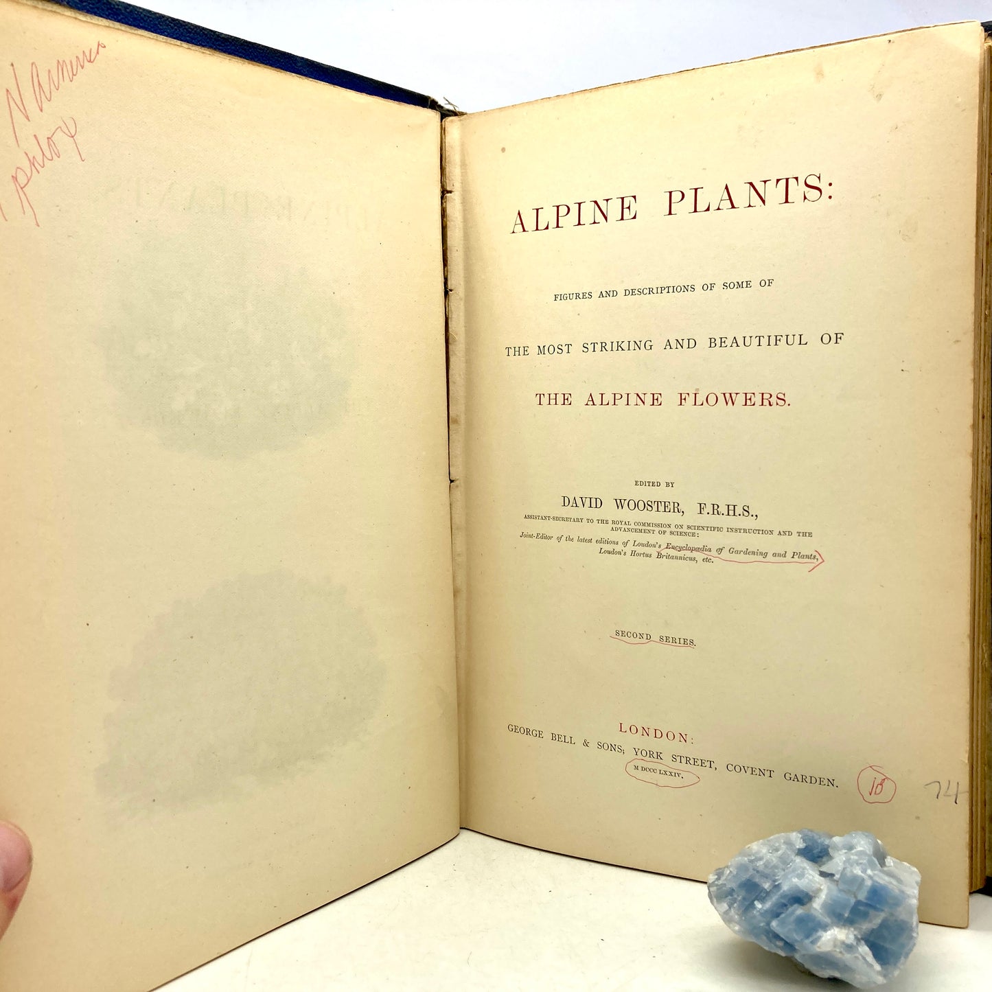 WOOSTER, David "Alpine Plants" [George Bell & Sons, 1874] 54 Color Illustrations
