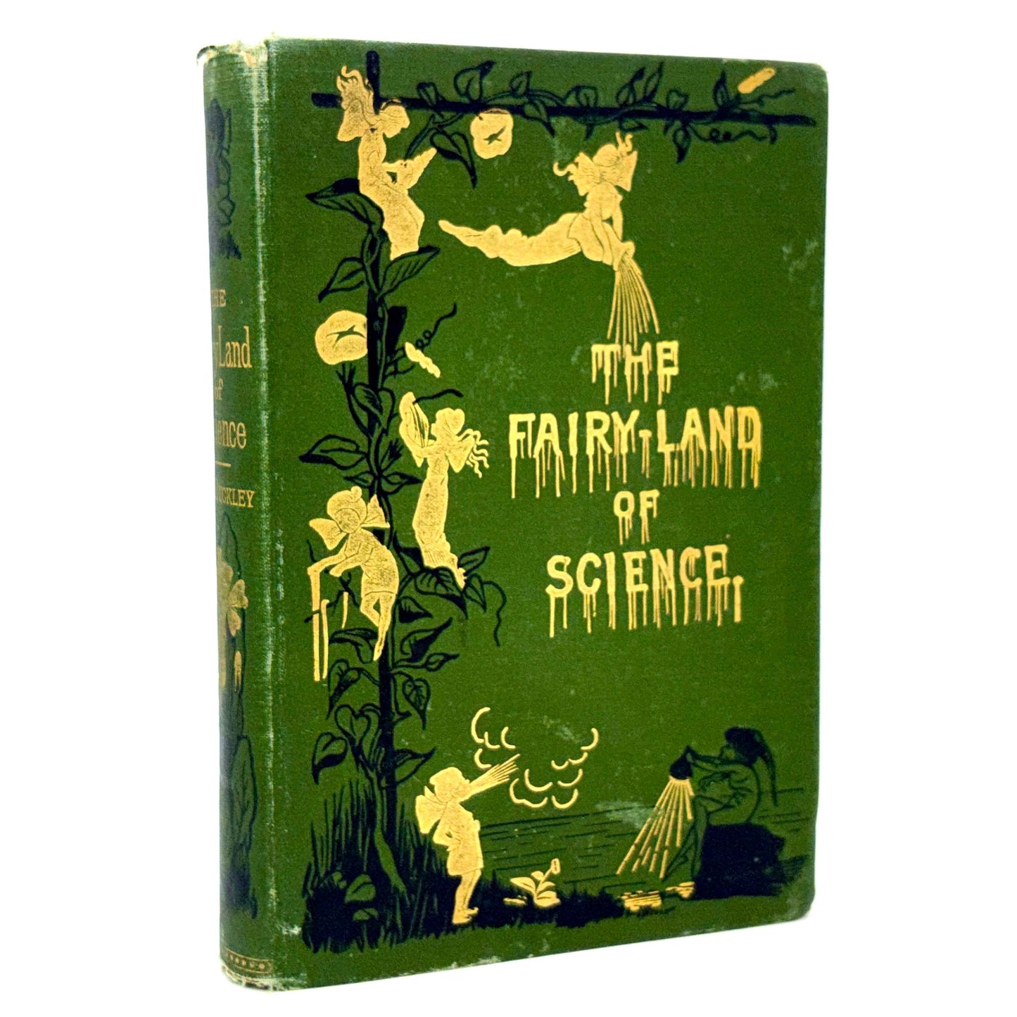BUCKLEY, Arabella B. “The Fairy-Land of Science” [Appleton, 1890]