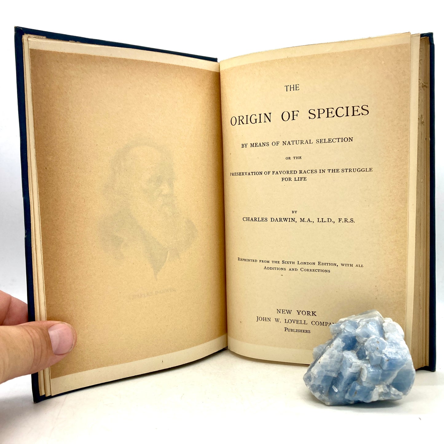 DARWIN, Charles "The Origin of Species" [John W. Lovell, n.d./c1890]