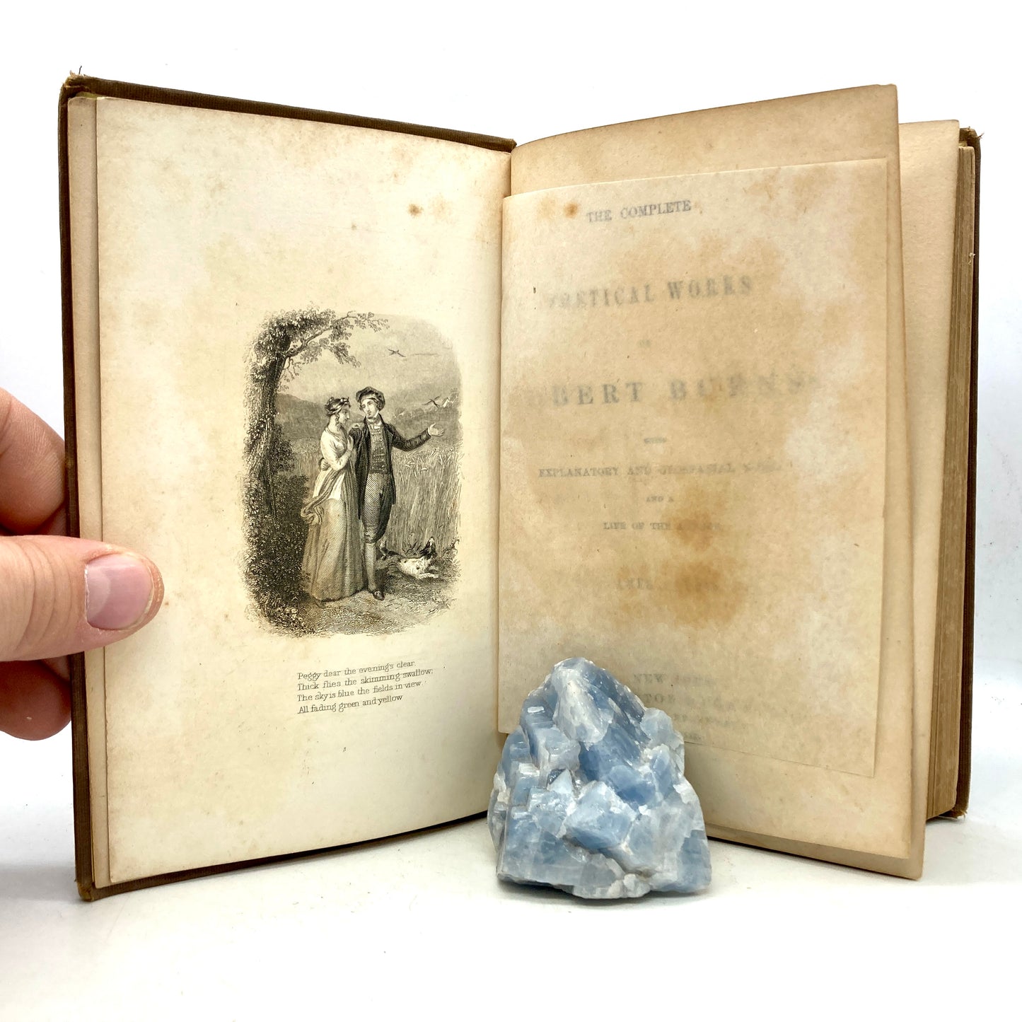 BURNS, Robert "The Poetical Works of Robert Burns" [D. Appleton & Co, 1859] - Buzz Bookstore
