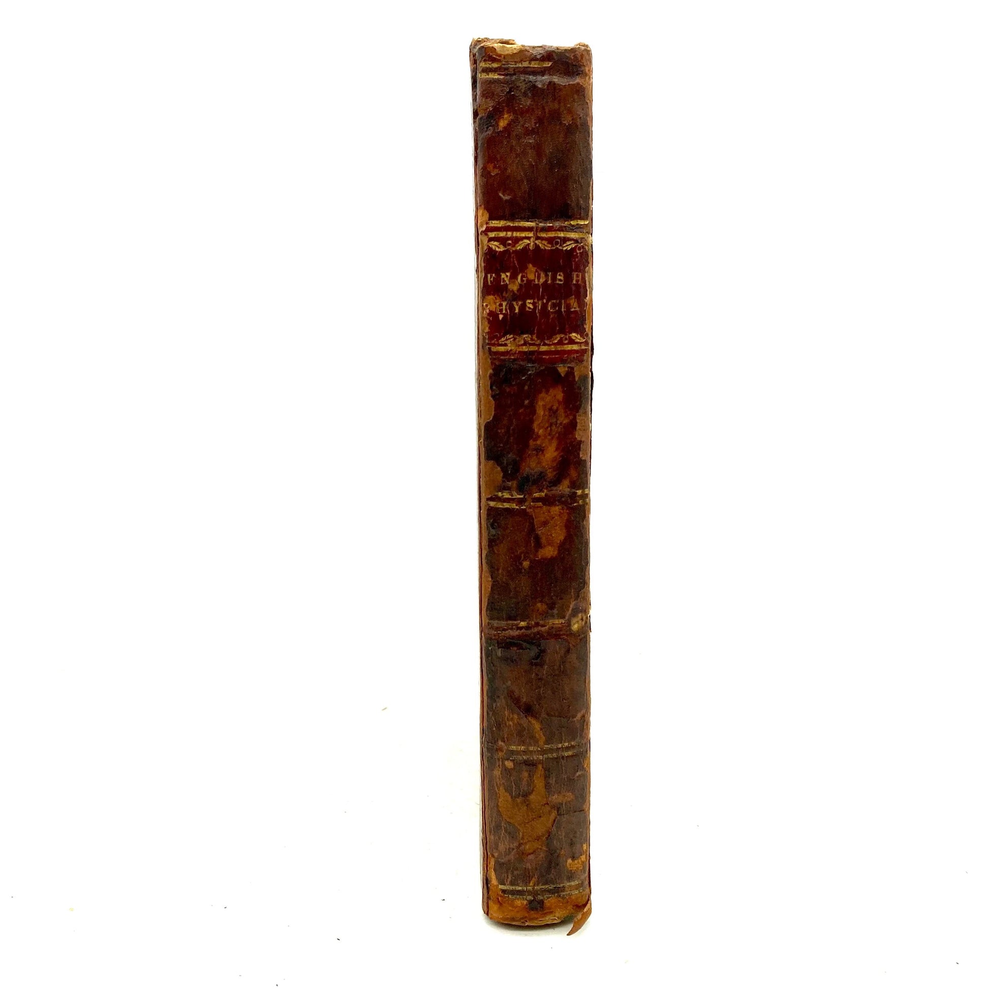 CULPEPPER, Nicholas "The English Physician" [Samuel W. Mortimer, 1826] - Herbal Medicine - Buzz Bookstore