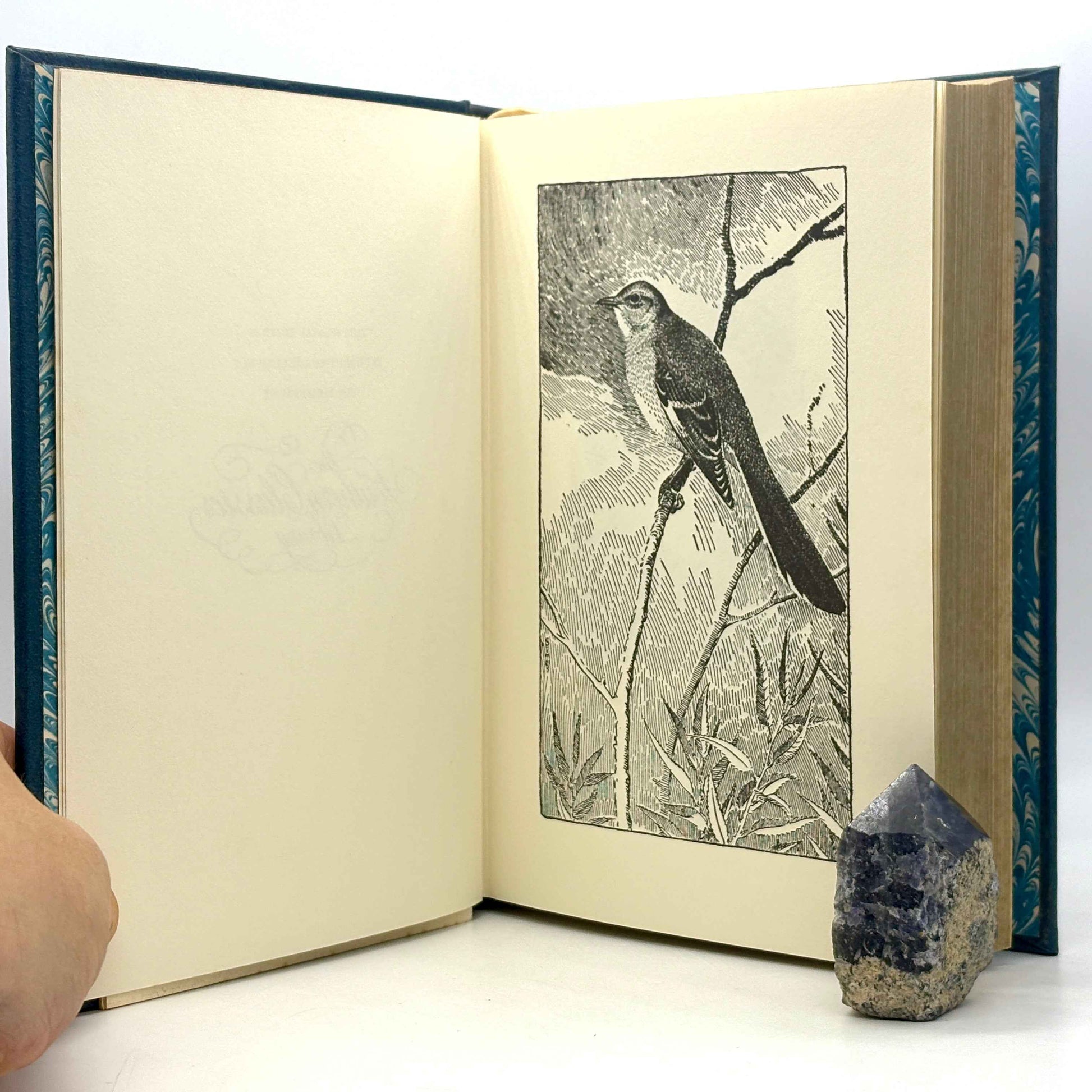 LEE, Harper "To Kill A Mockingbird" [The Southern Classics Library, 1982]