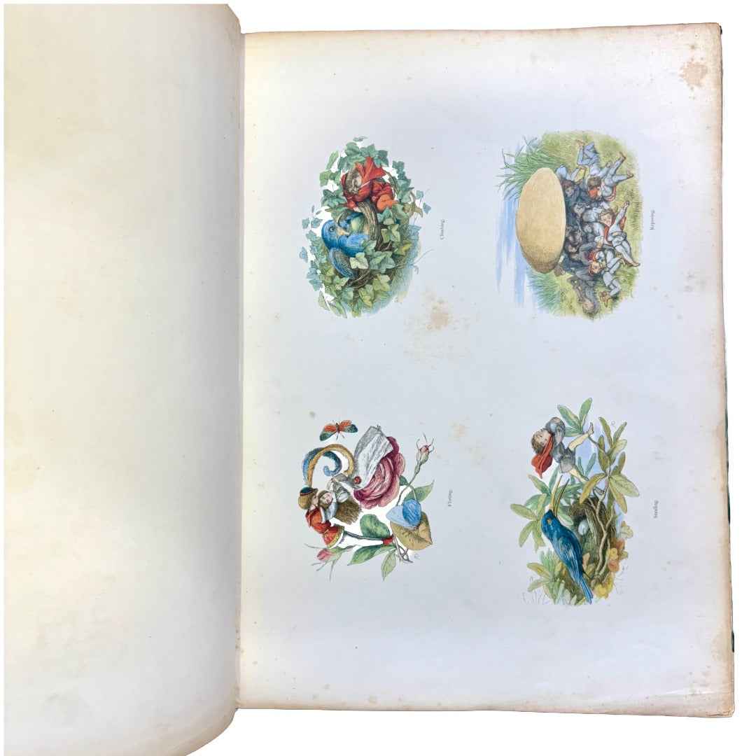 Doyle, Richard "Fairyland: A Series of Pictures from the Elf-World" [1875]