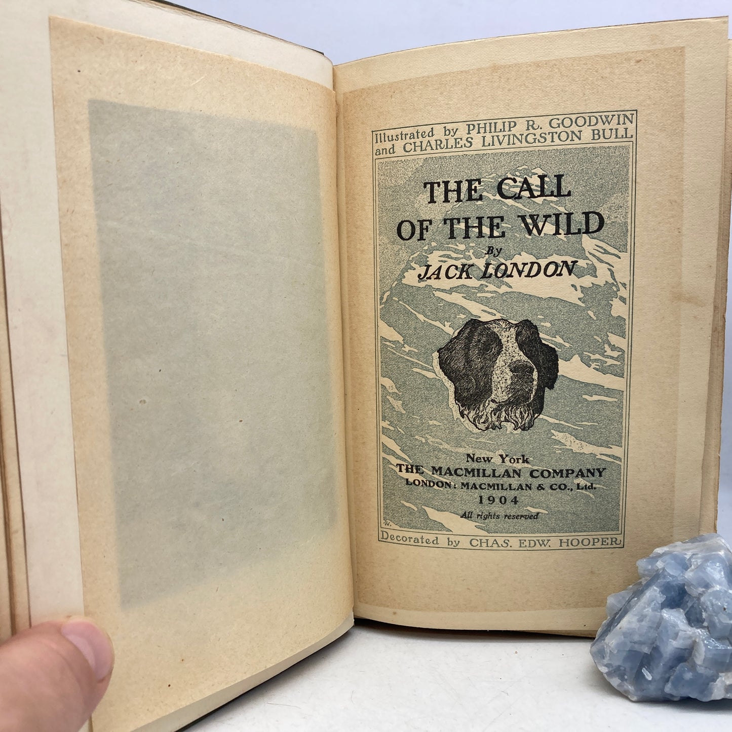 LONDON, Jack "The Call of the Wild" [Macmillan, 1903] 1st/5th