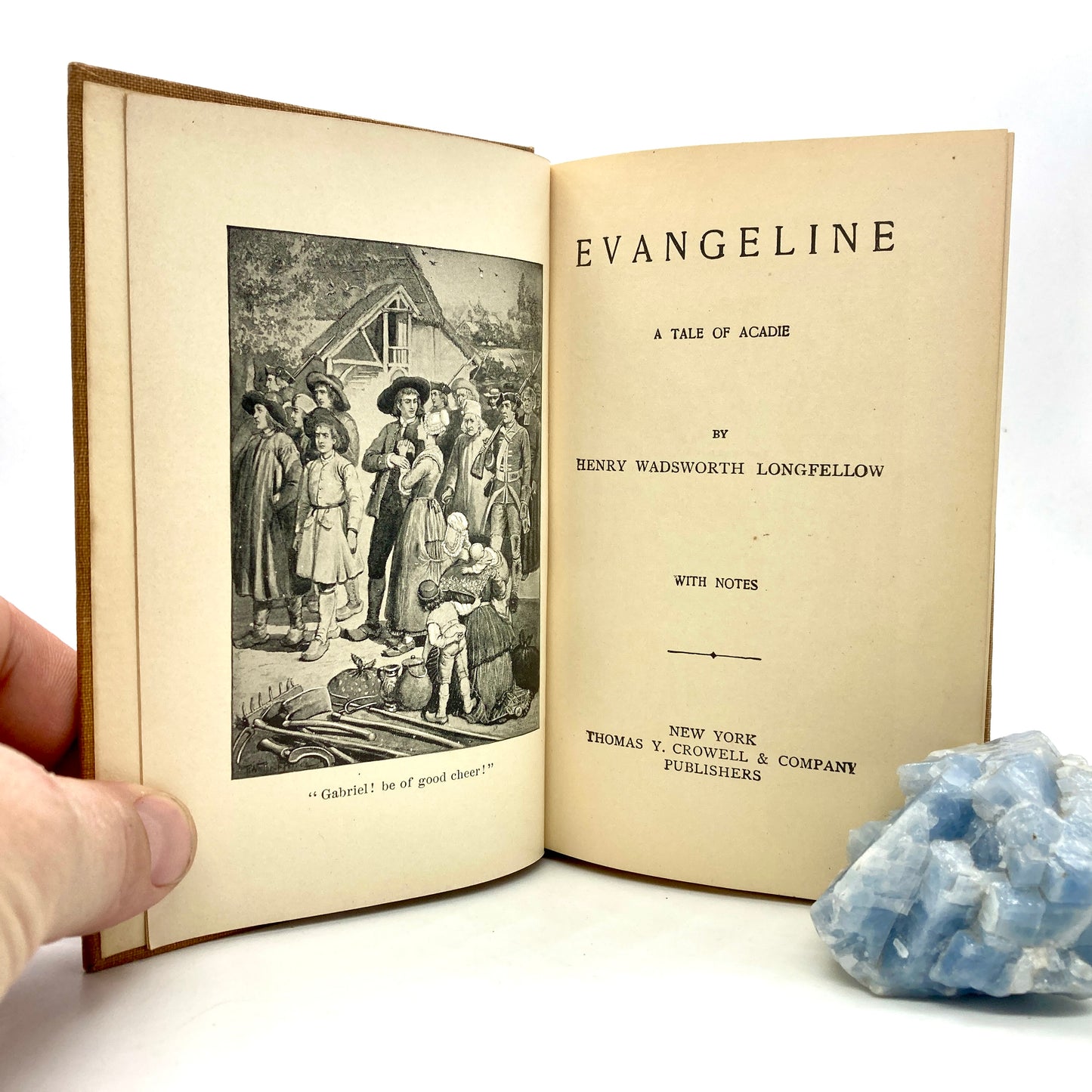 LONGFELLOW, Henry Wadsworth "Evangeline, a Tale of Acadie" [Thomas Y. Crowell, 1893]