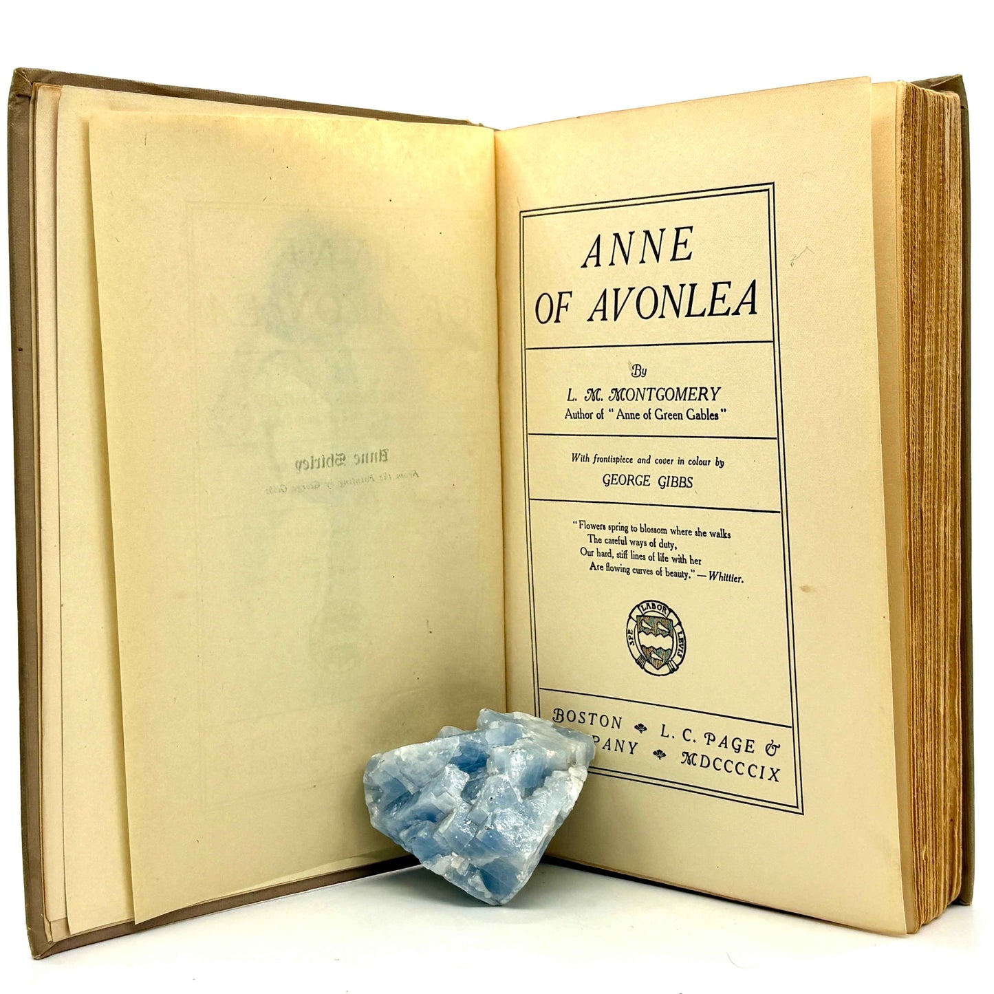 MONTGOMERY, L. M. "Anne of Avonlea" [L. C. Page & Co, 1909] 1st Edition