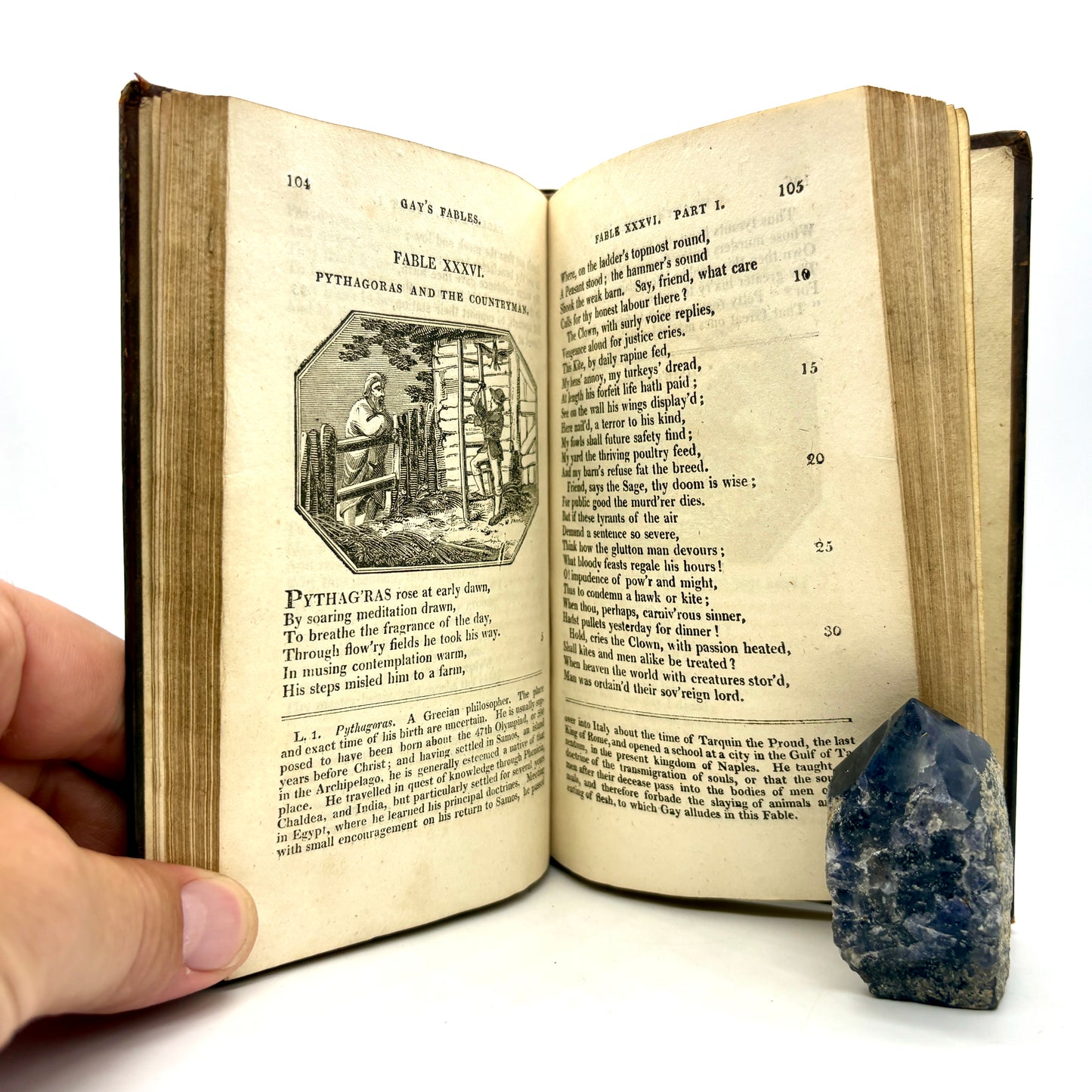 GAY, John "Fables" [Vernor, Hood, and Sharpe, 1810] Illustrated