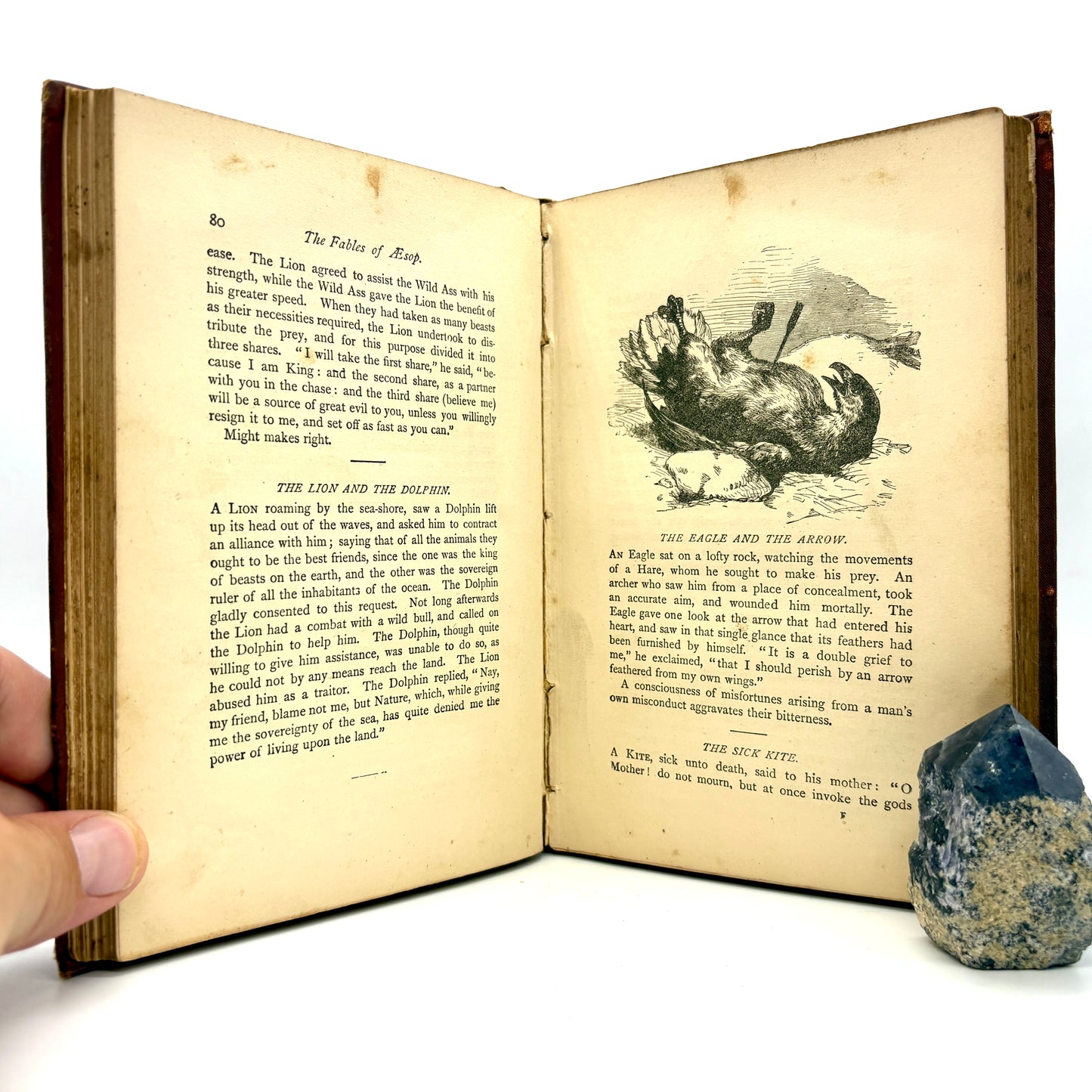 AESOP "Three Hundred Aesop's Fables" [George Routledge, n.d./c1890s]
