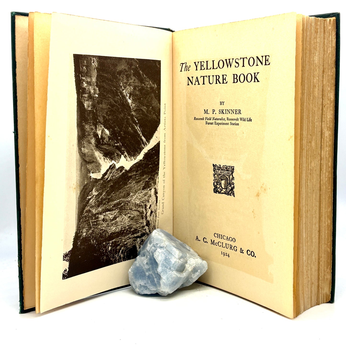 SKINNER, M. P. The Yellowstone Nature Book [AC McClurg, 1924] Presentation Copy