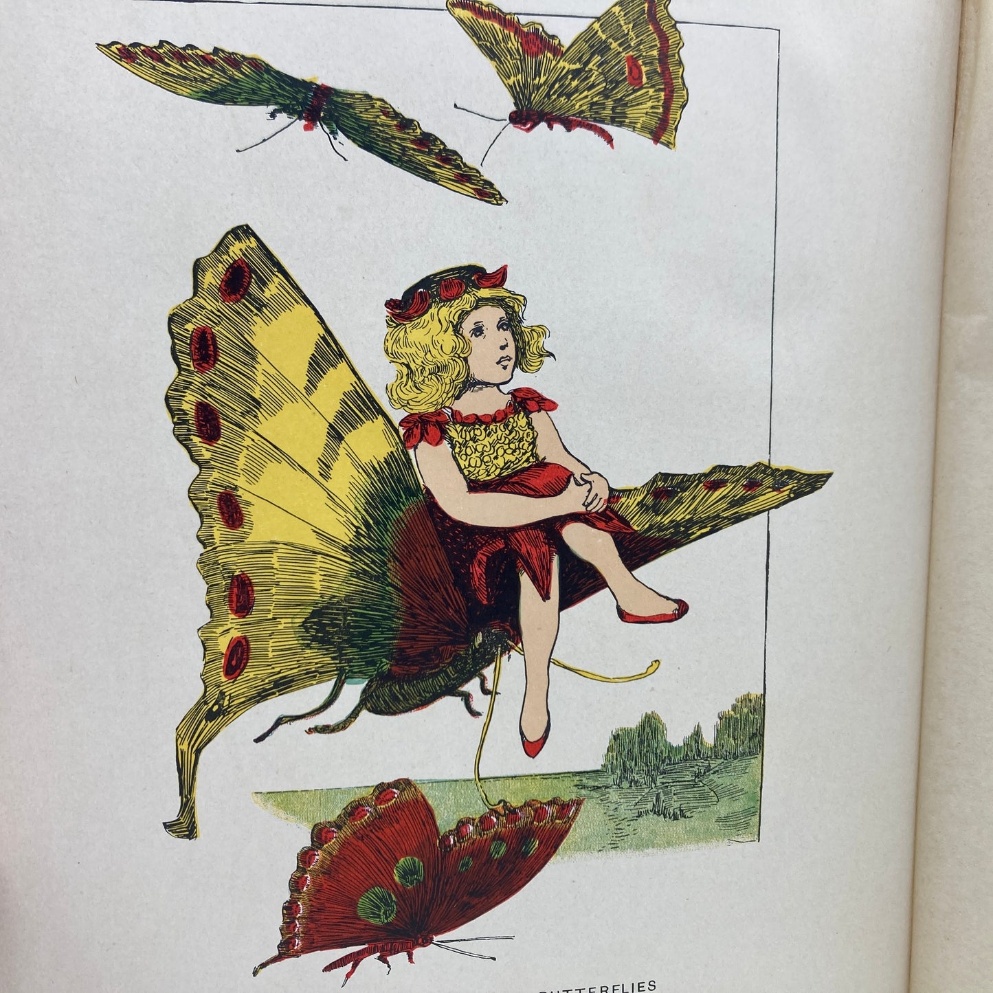 BIDDLE, Anthony J. Drexel "The Second Froggy Fairy Book" [Drexel Biddle, 1898]