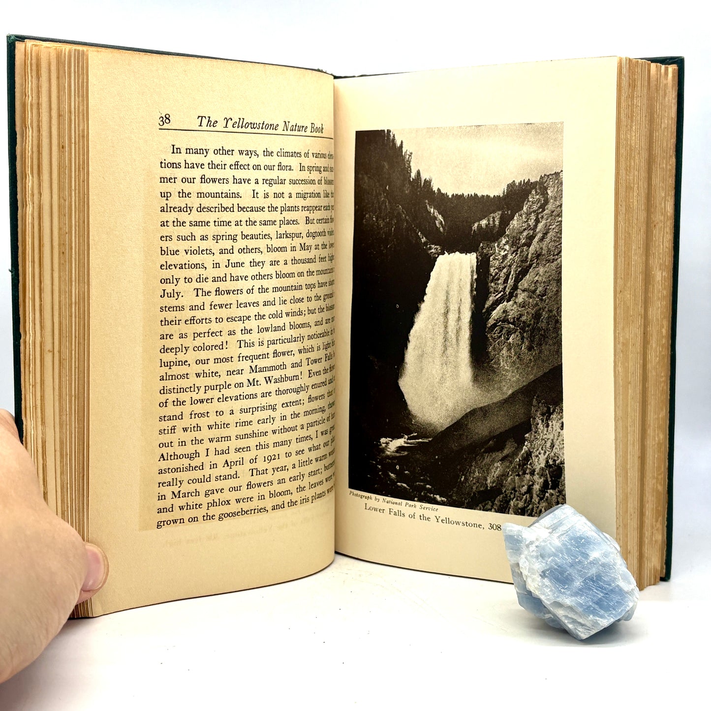 SKINNER, M. P. The Yellowstone Nature Book [AC McClurg, 1924] Presentation Copy