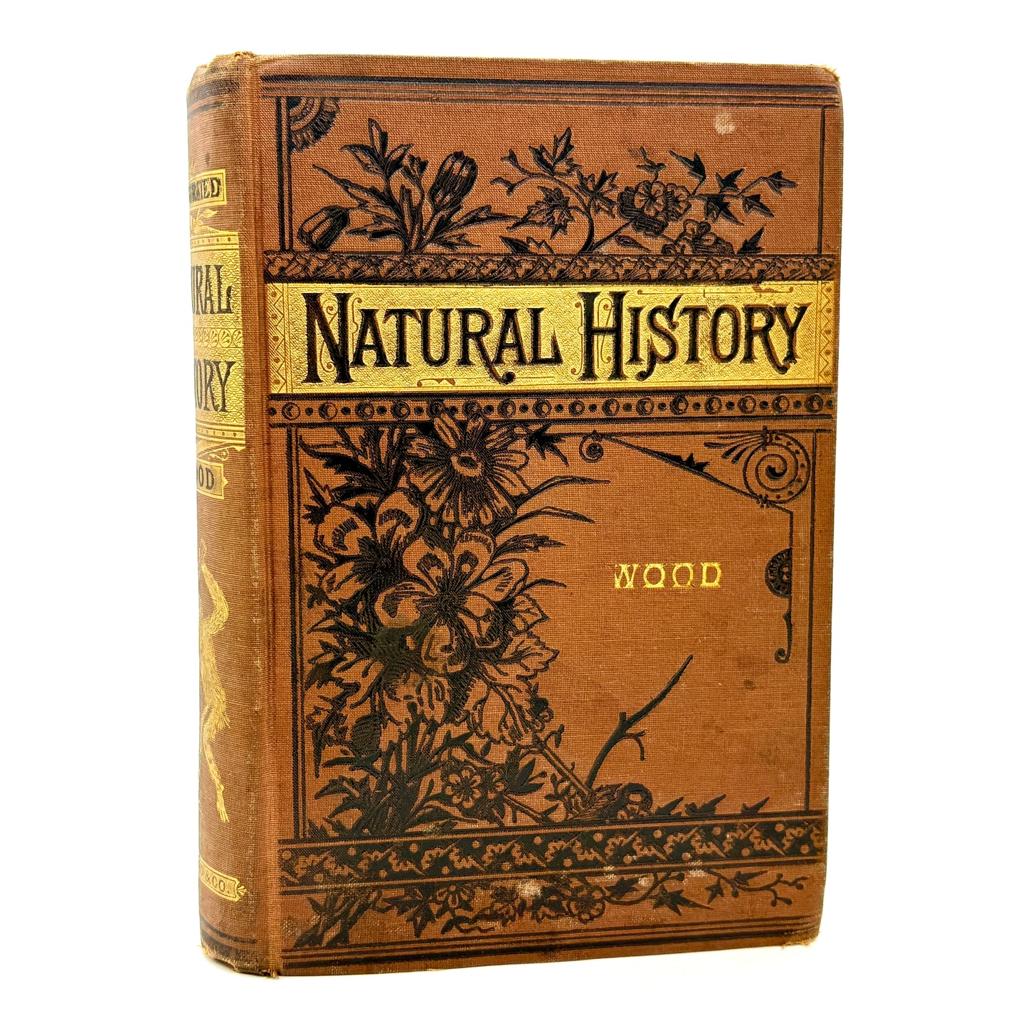 WOOD, Rev. J.G. "Illustrated Natural History" [Crawford & Co, 1883]