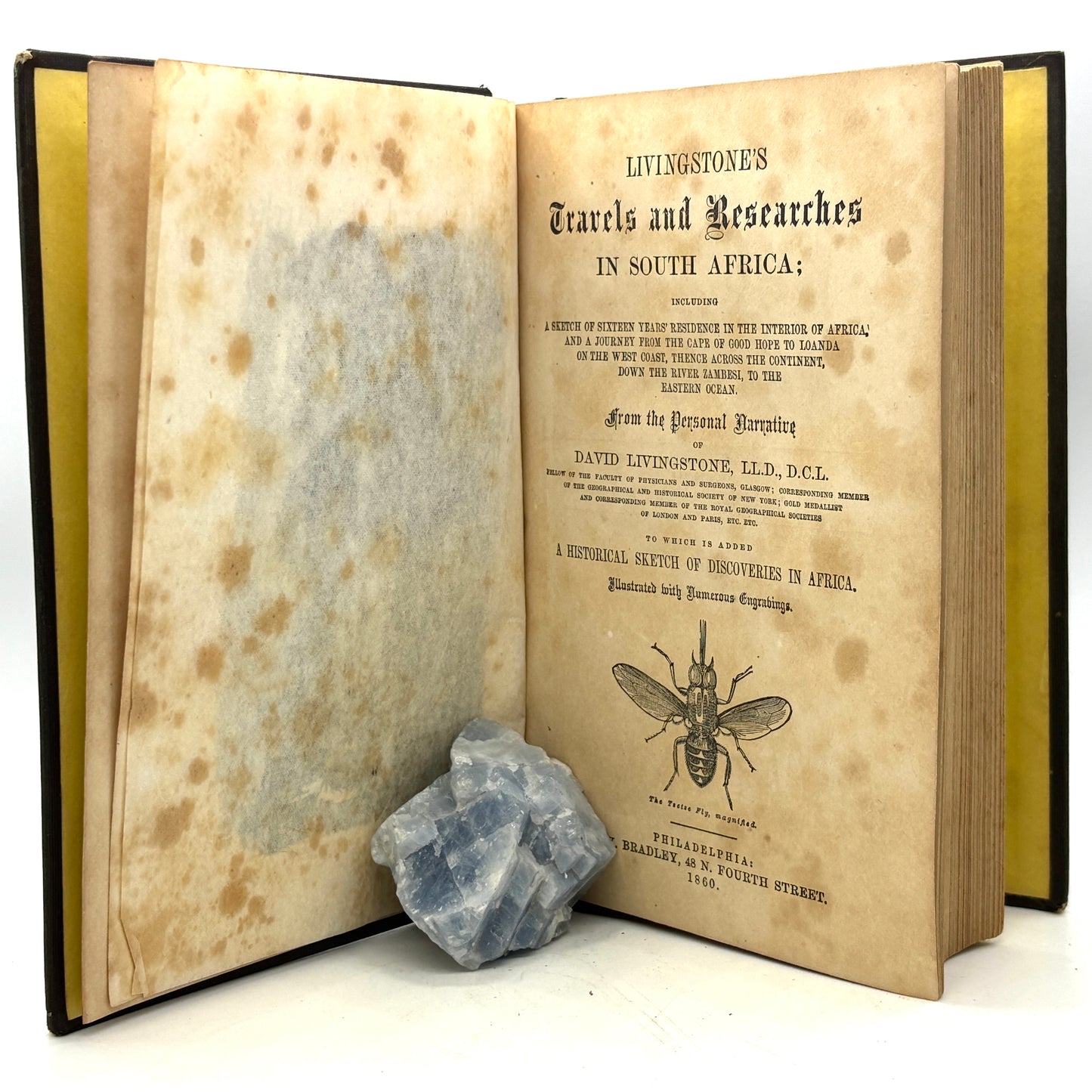 LIVINGSTONE, David "Travels and Researches in South Africa" [Bradley, 1860]