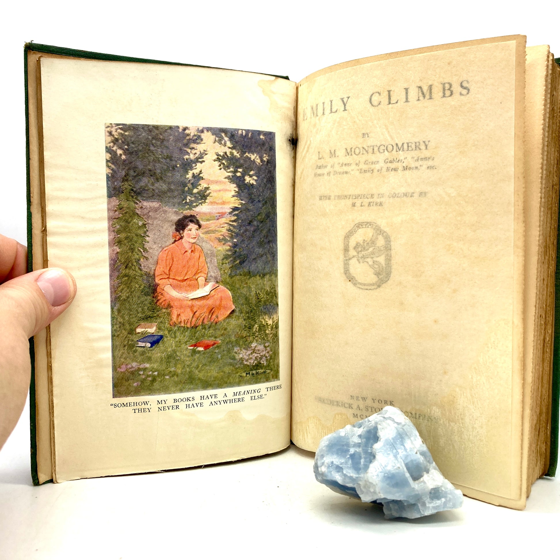MONTGOMERY, L.M. "Emily Climbs" [Frederick A. Stokes, 1925] 1st Edition - Buzz Bookstore