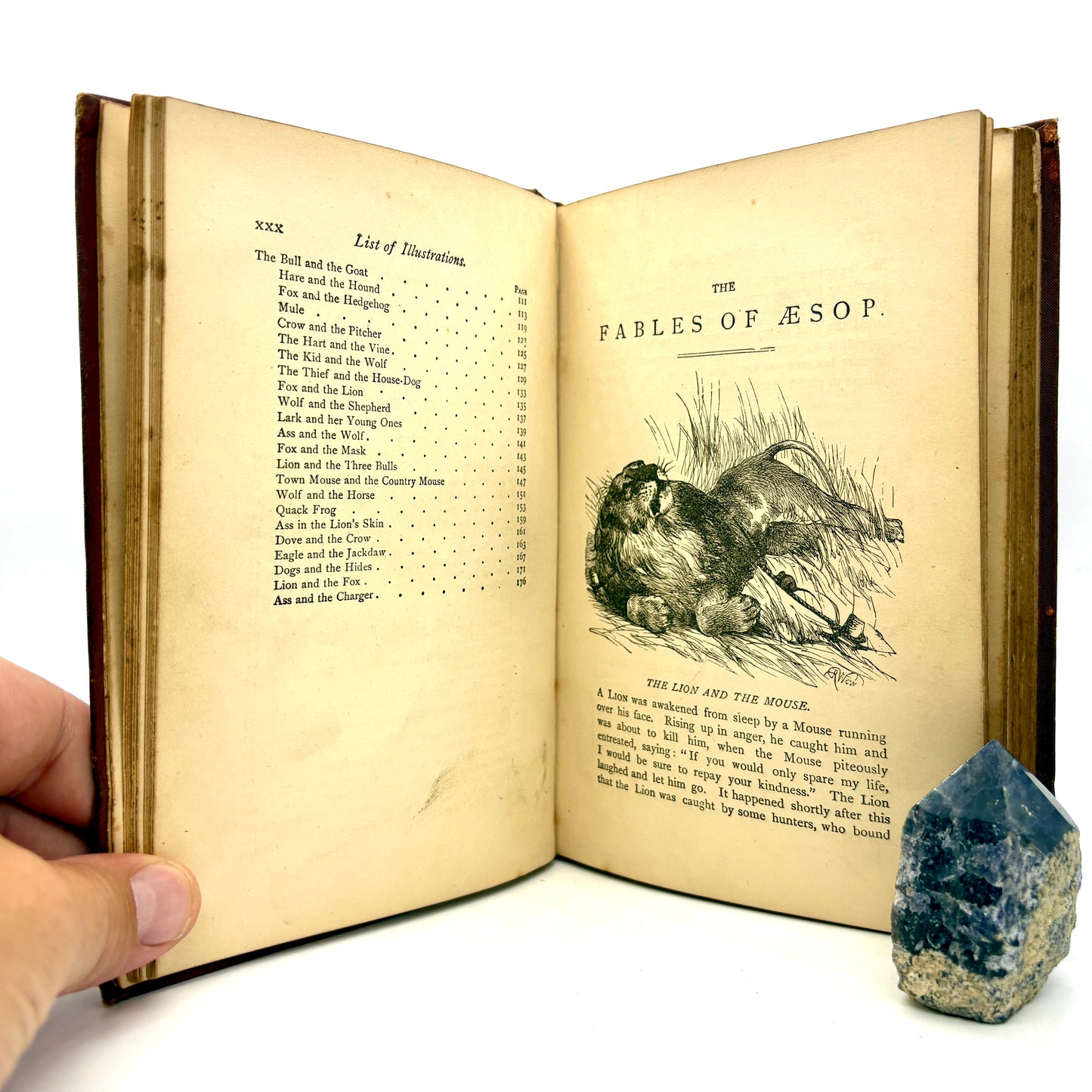 AESOP "Three Hundred Aesop's Fables" [George Routledge, n.d./c1890s]