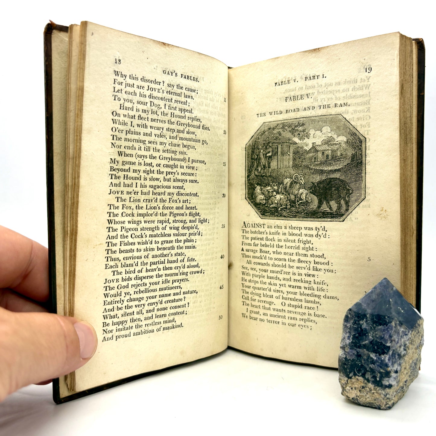 GAY, John "Fables" [Vernor, Hood, and Sharpe, 1810] Illustrated