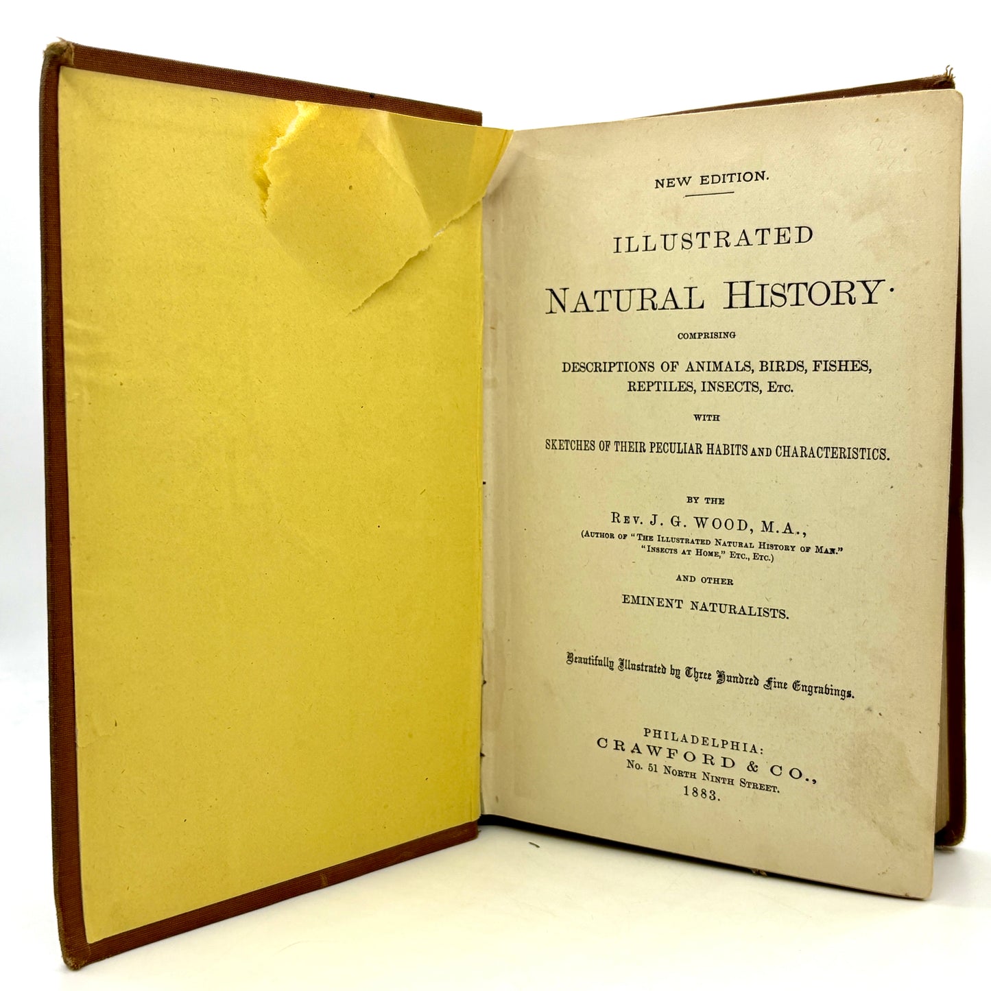 WOOD, Rev. J.G. "Illustrated Natural History" [Crawford & Co, 1883]
