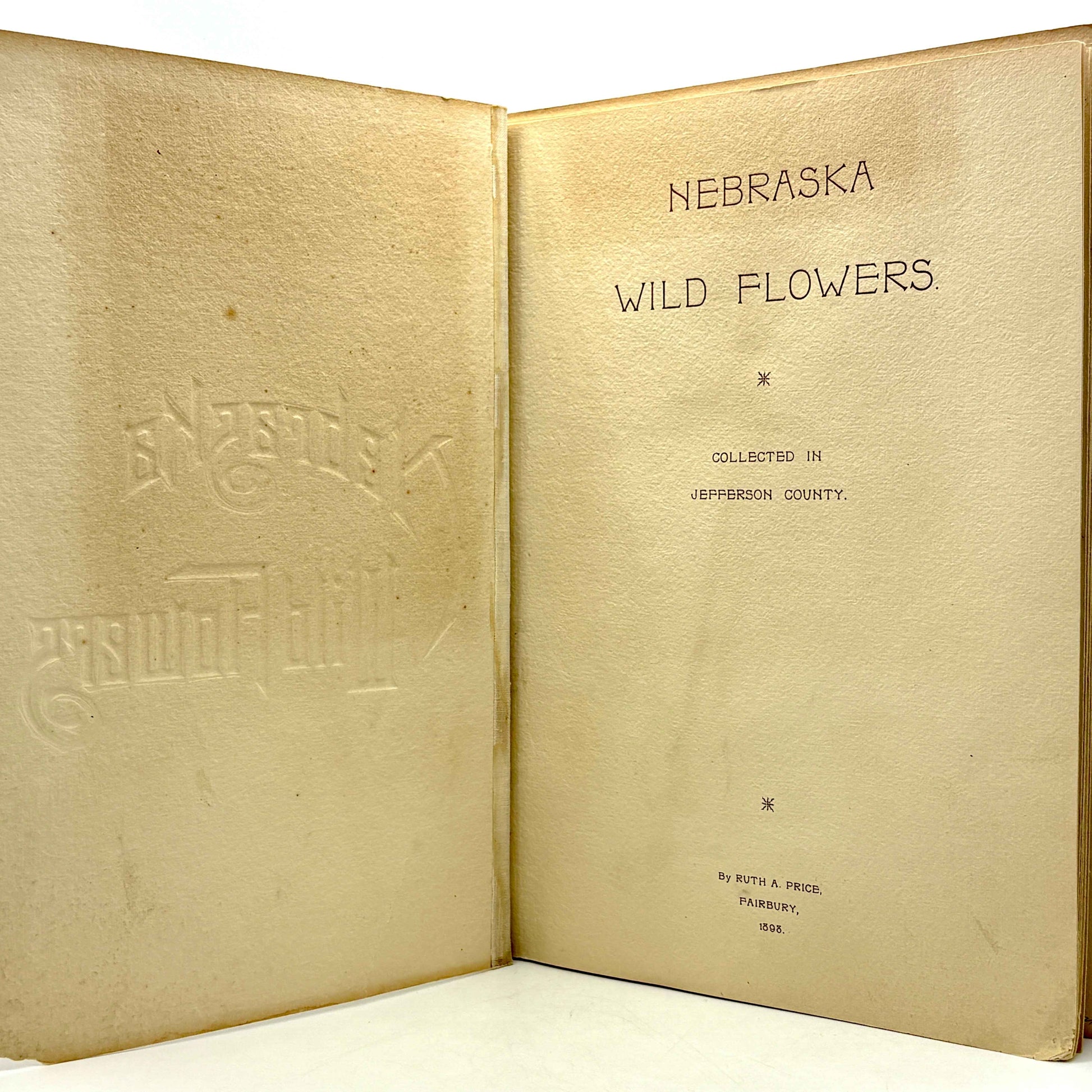 PRICE, Ruth A. "Nebraska Wild Flowers" [Fairbury, NE, 1898] Herbarium