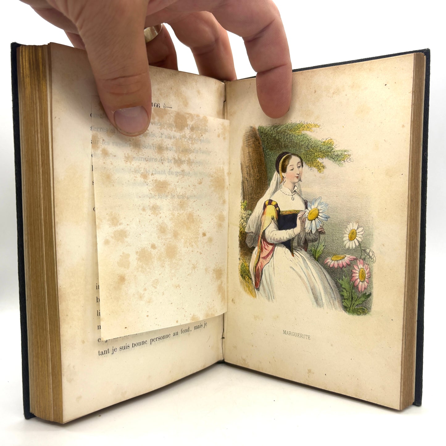 LENEVEUX, Louise "Les Fleurs Parlantes" [Mme Vve Louis Janet, n.d./c1849]
